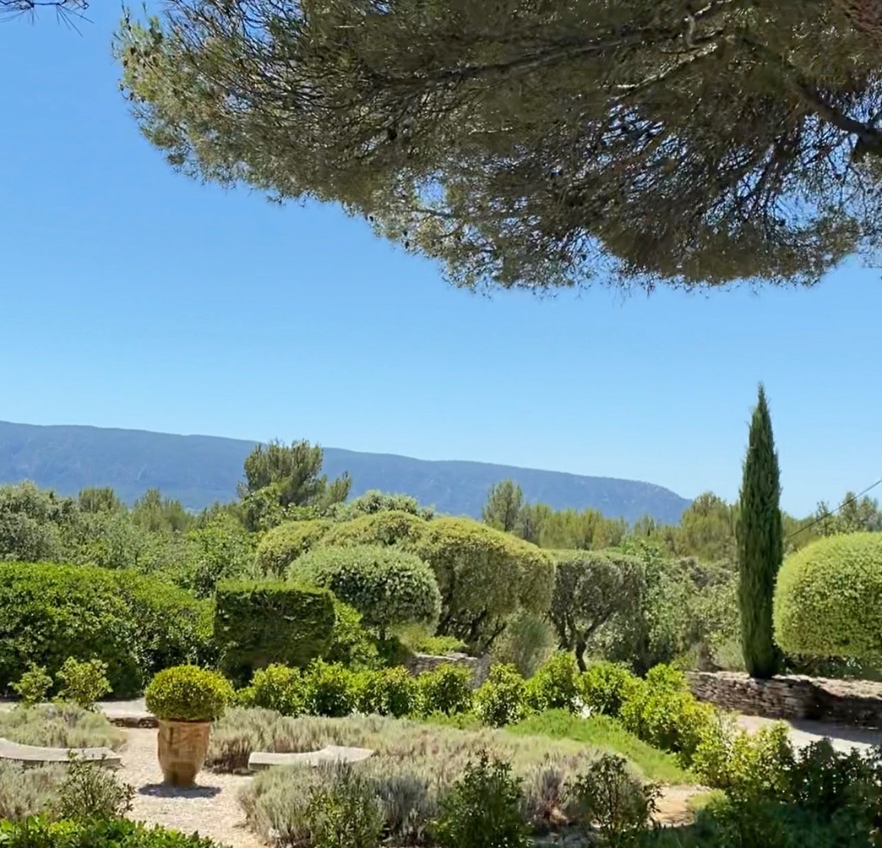 A Warm Welcome in Provence