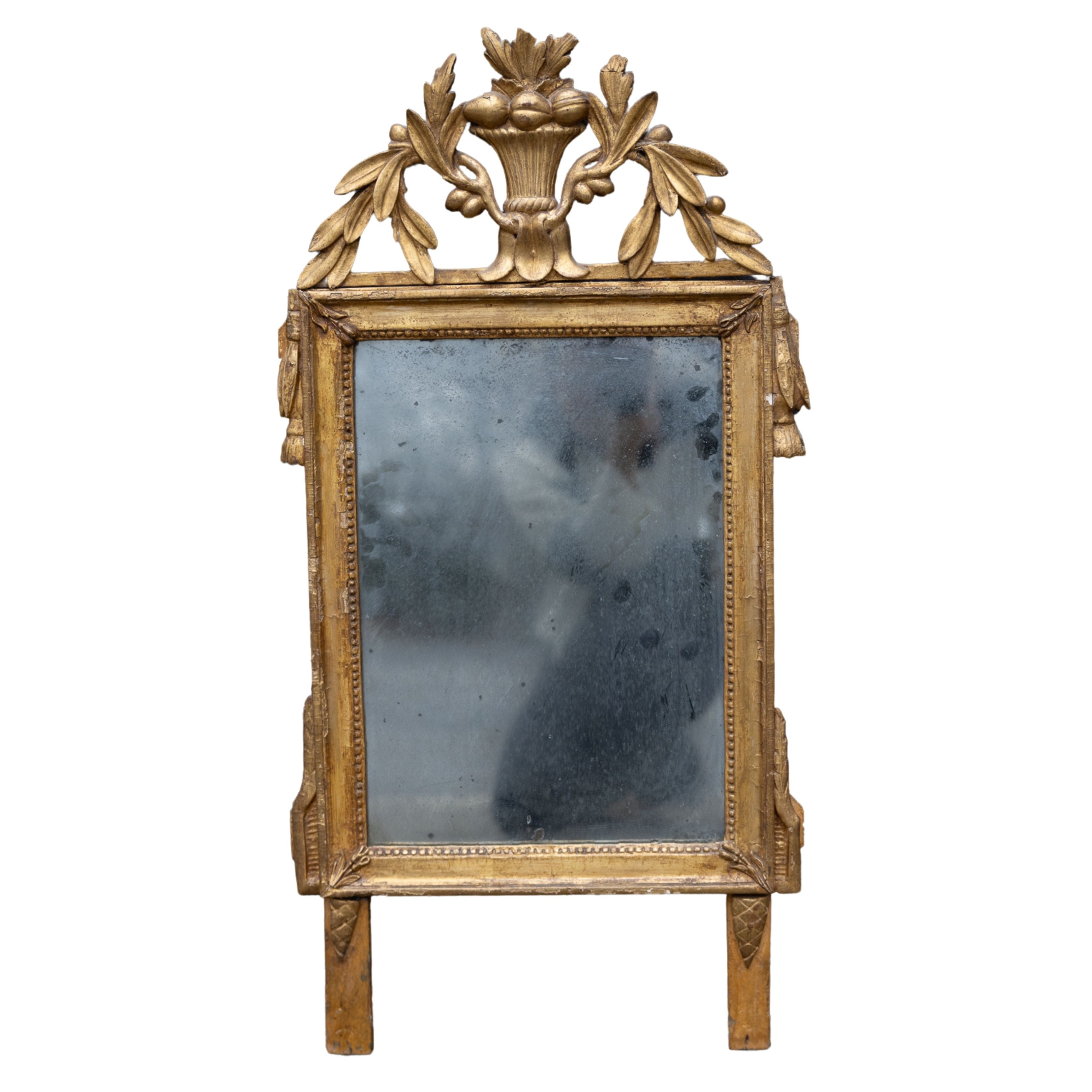 Provencal Carved Mirror 36x18