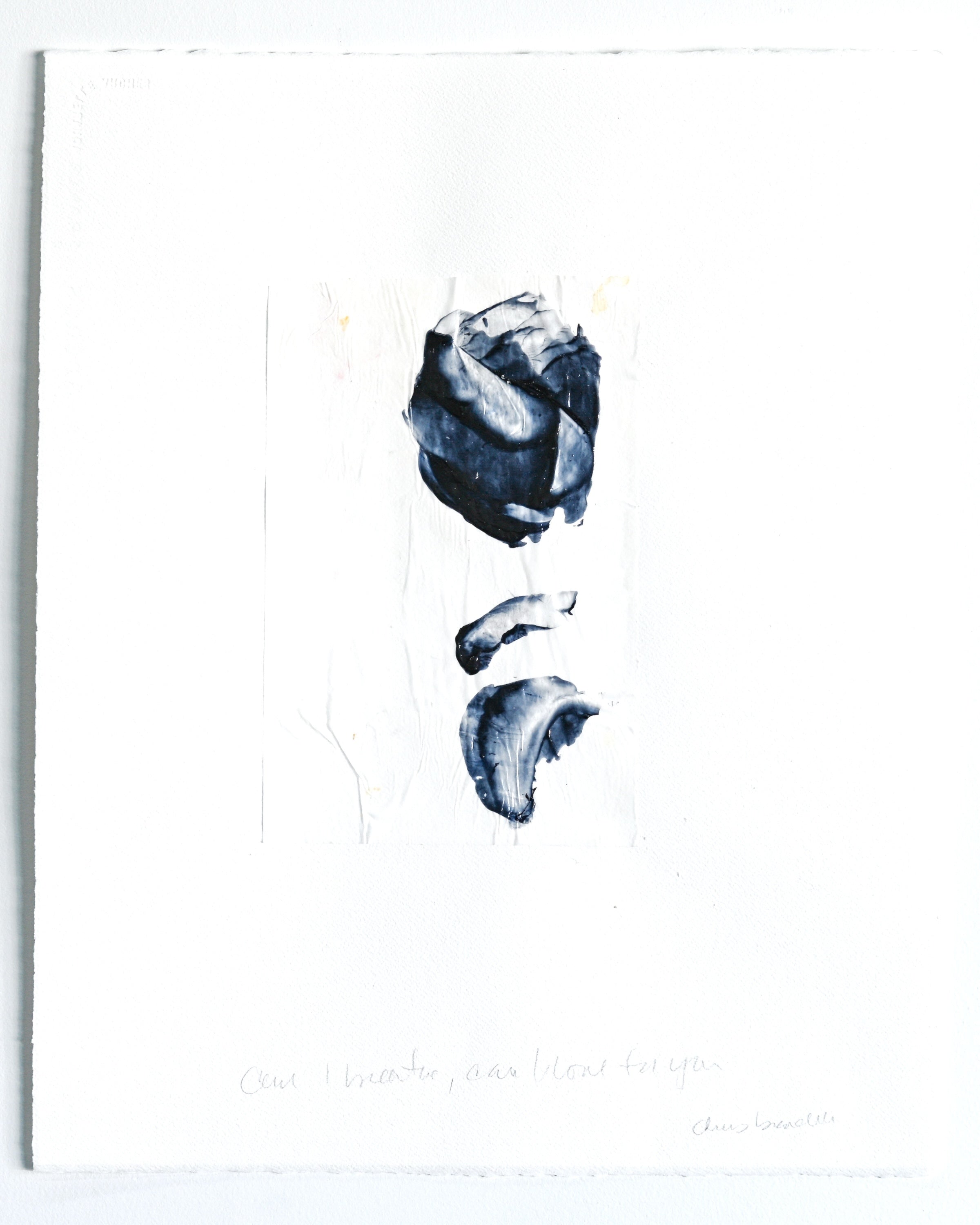 Chris Brandell - Love Poems 75a (25 x 21)