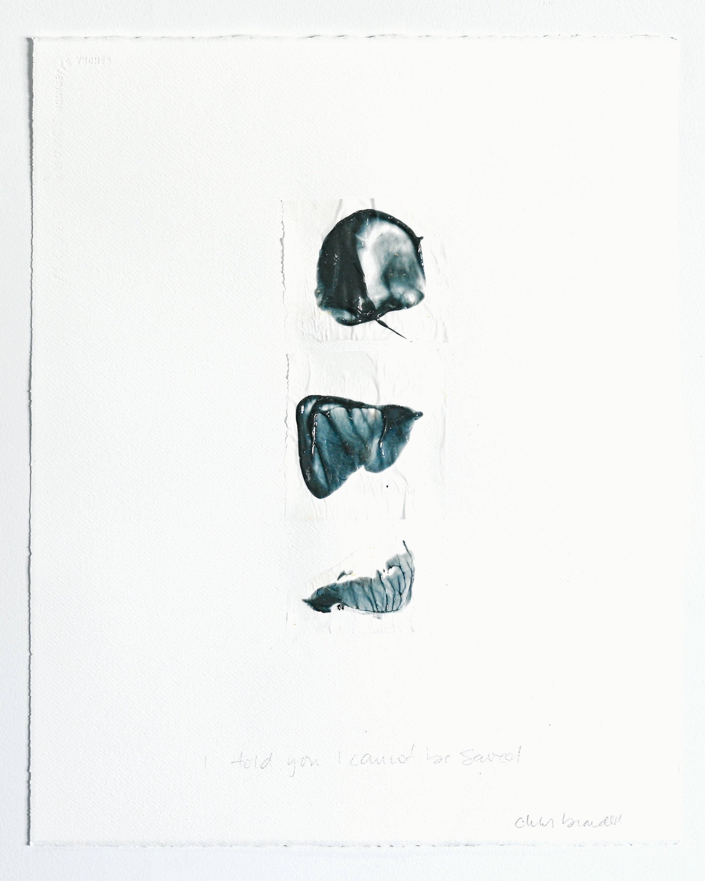 Chris Brandell - Love Poems 77b (25 x 21) - RESERVED