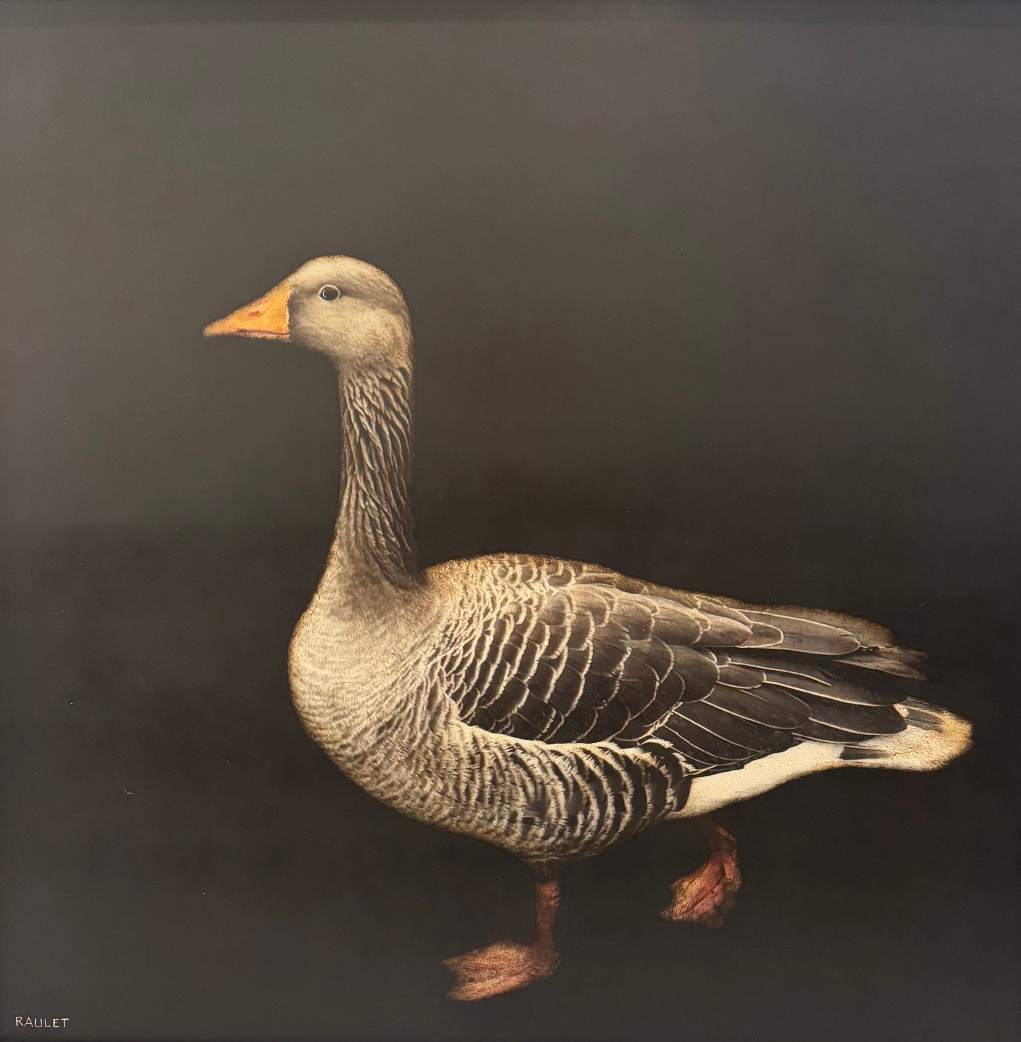 Dawne Raulet - Wingin' It (40 x 40)