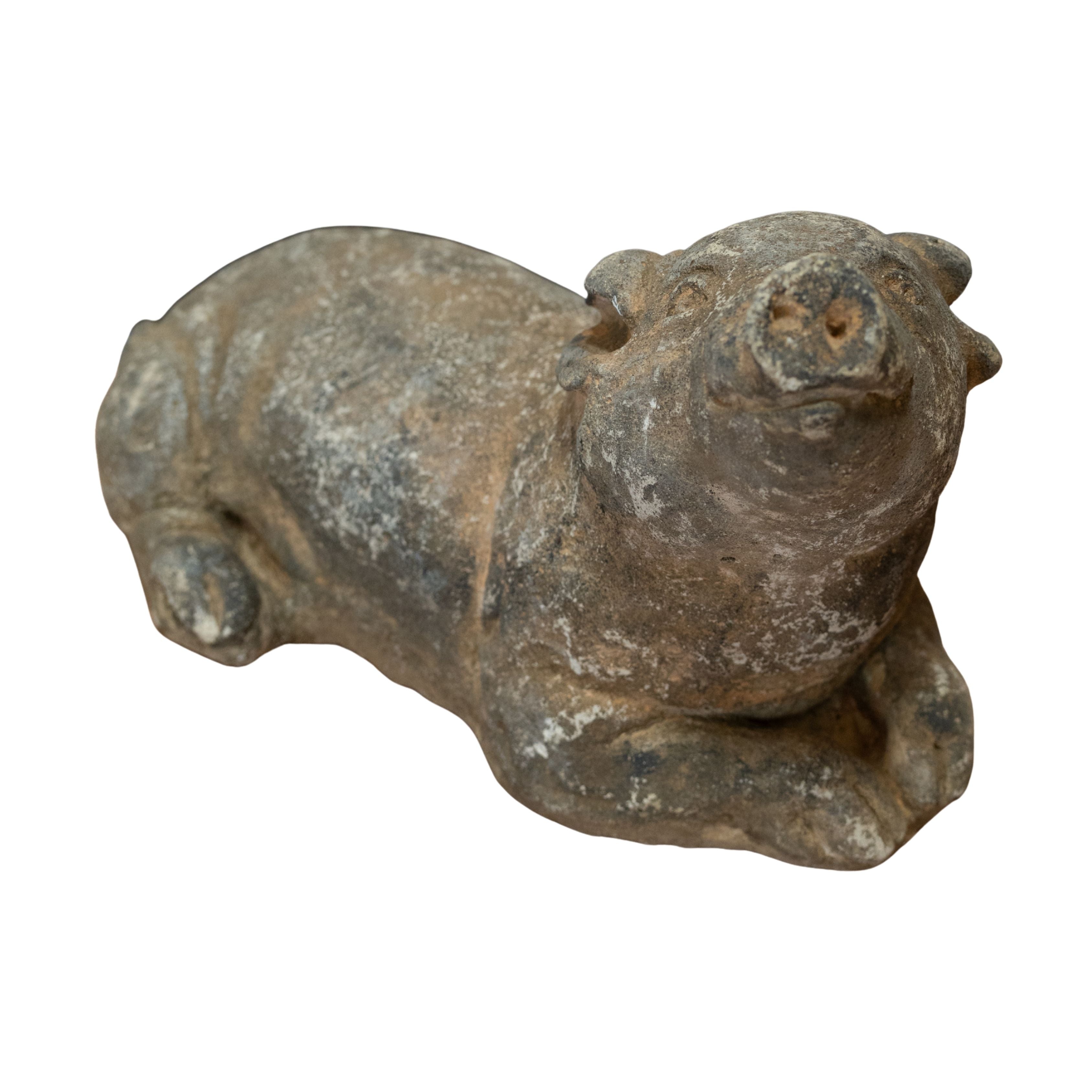 Concrete Pig