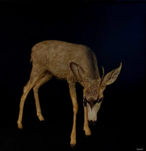 Dawne Raulet - Nearest and Deer-est (38 x 38)