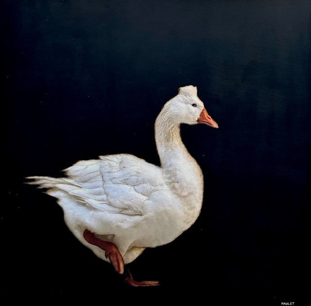 Dawne Raulet - Graceful Goose (40 x 40)