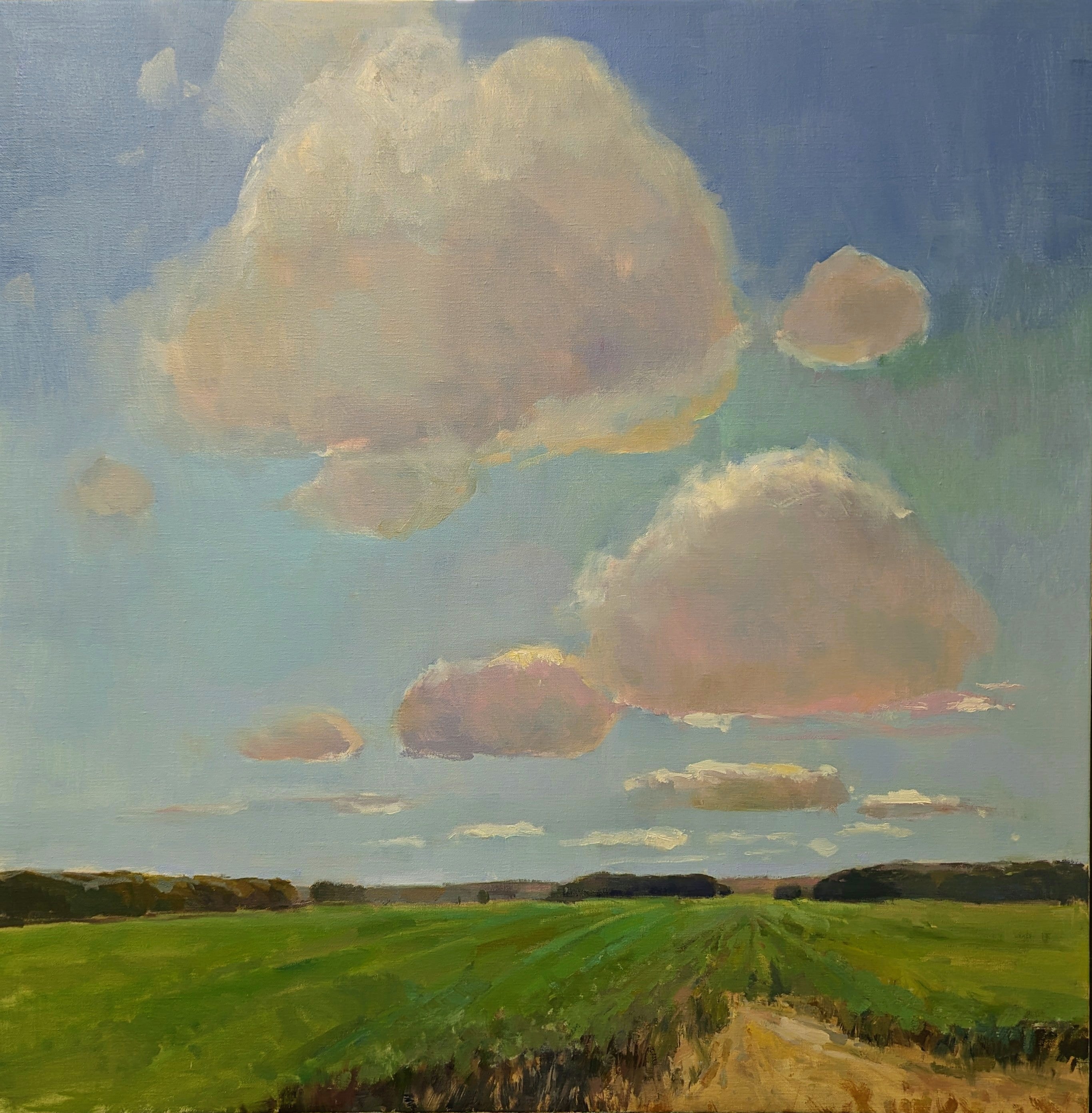 Millie Gosch - Clouds Over Fields (40 x 40) - RESERVED