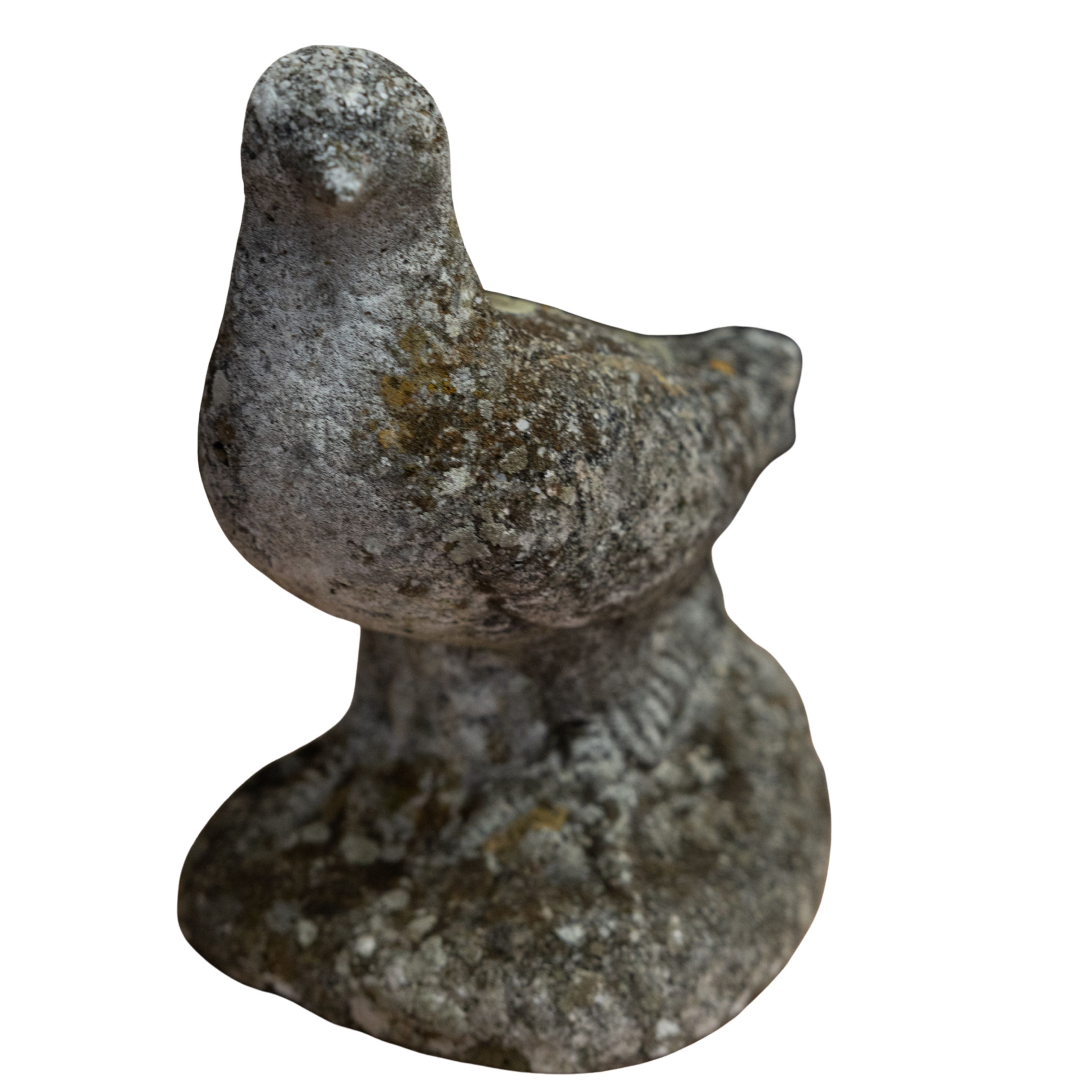 Pair of Concrete Birds