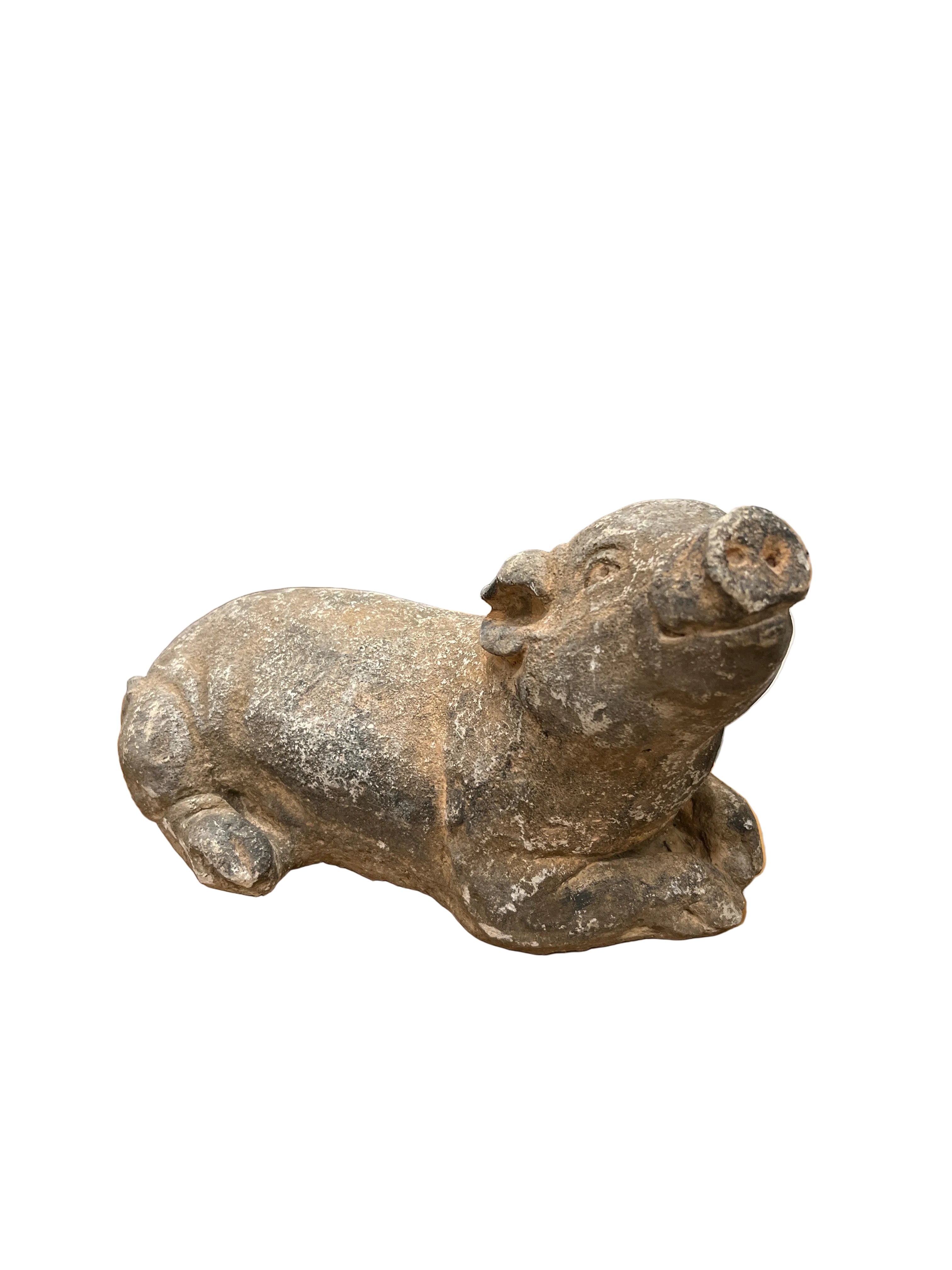 Concrete Pig