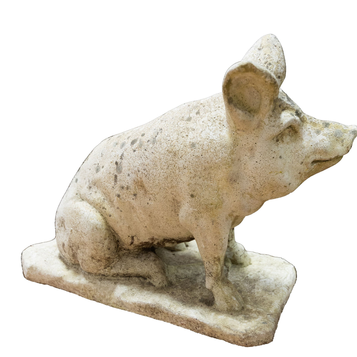 Concrete Pig