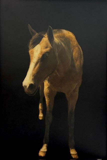 Dawne Raulet - Dark Horse (60 x 40)