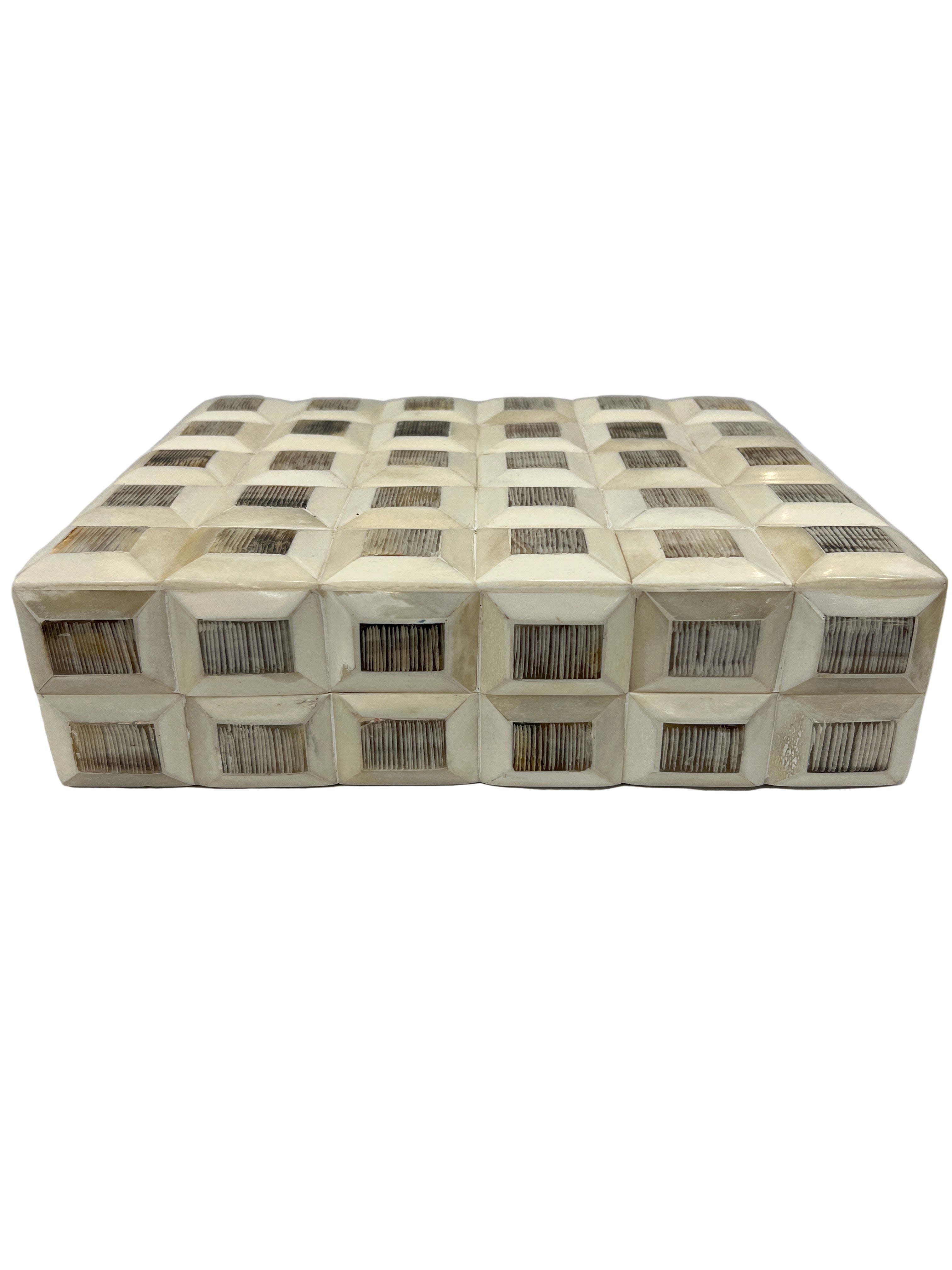 Large Unique Bone Box