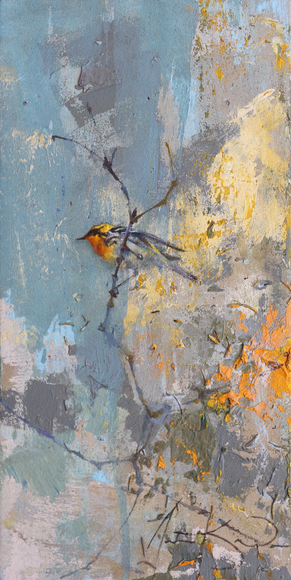 Justin Kellner - Blackburnian Warbler (16 x 8)