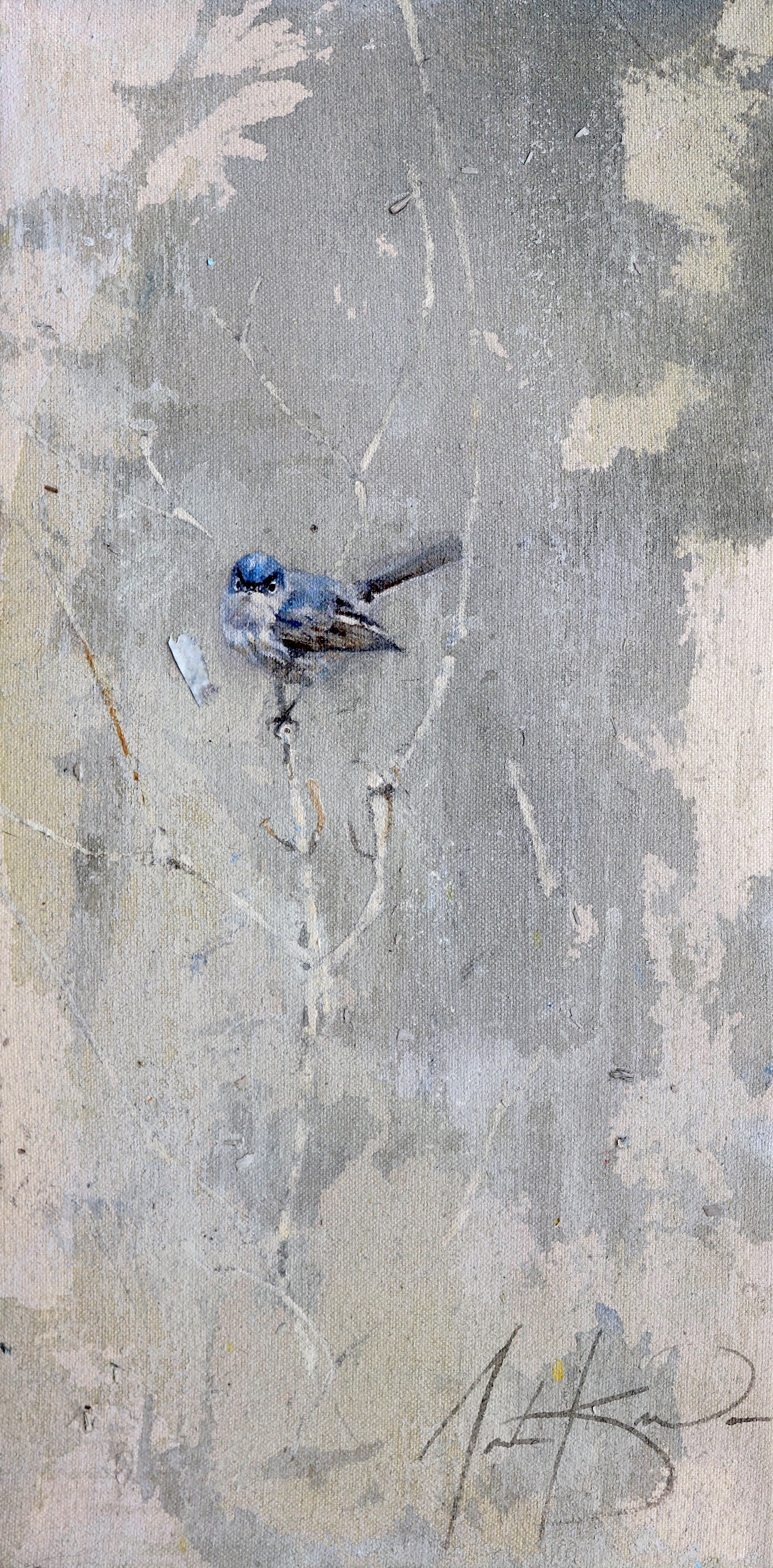 Justin Kellner - Blue-gray Gnatcatcher (16 x 8)