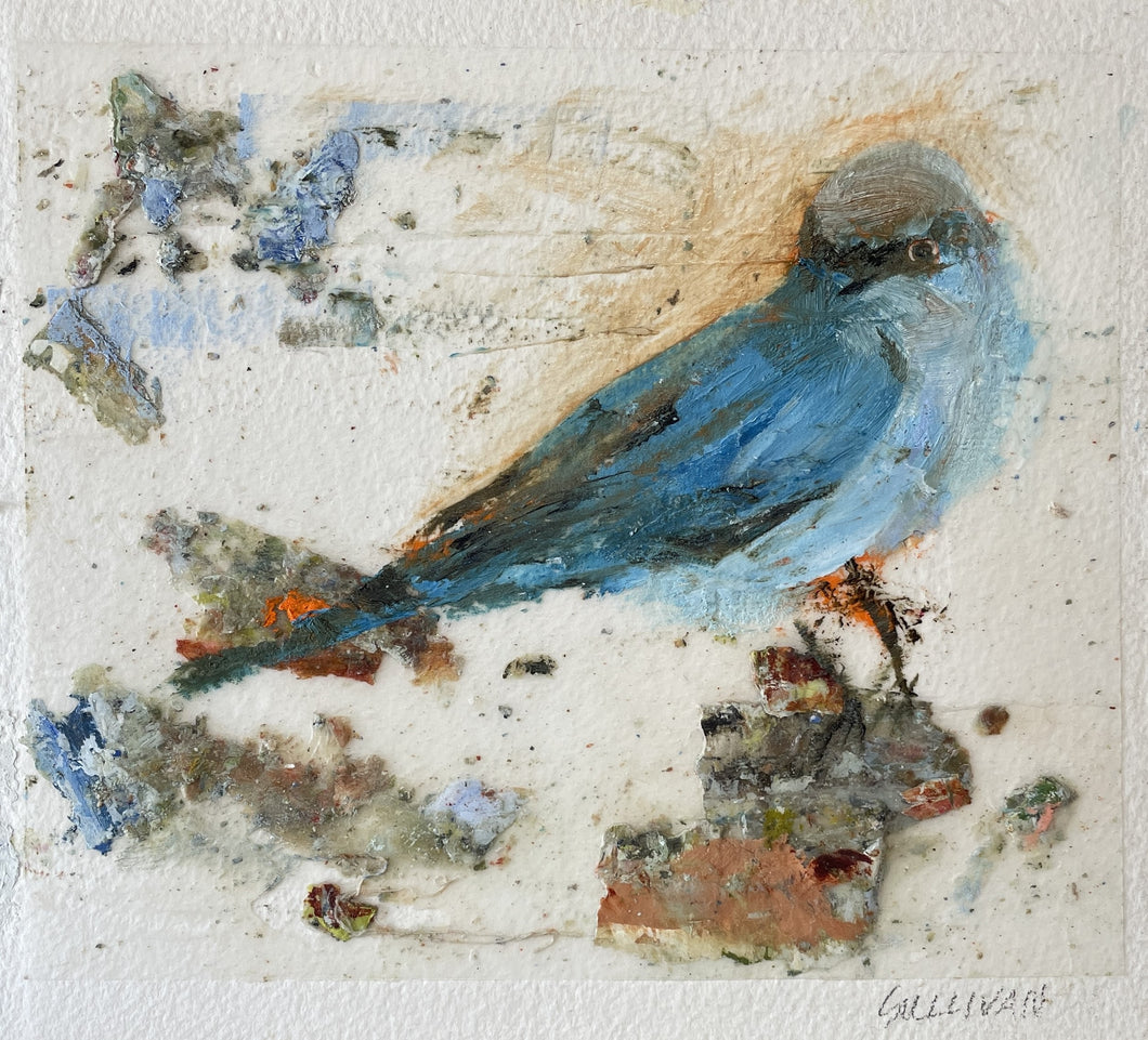 Amy Sullivan - Bluebird on Perch (8 x 9)