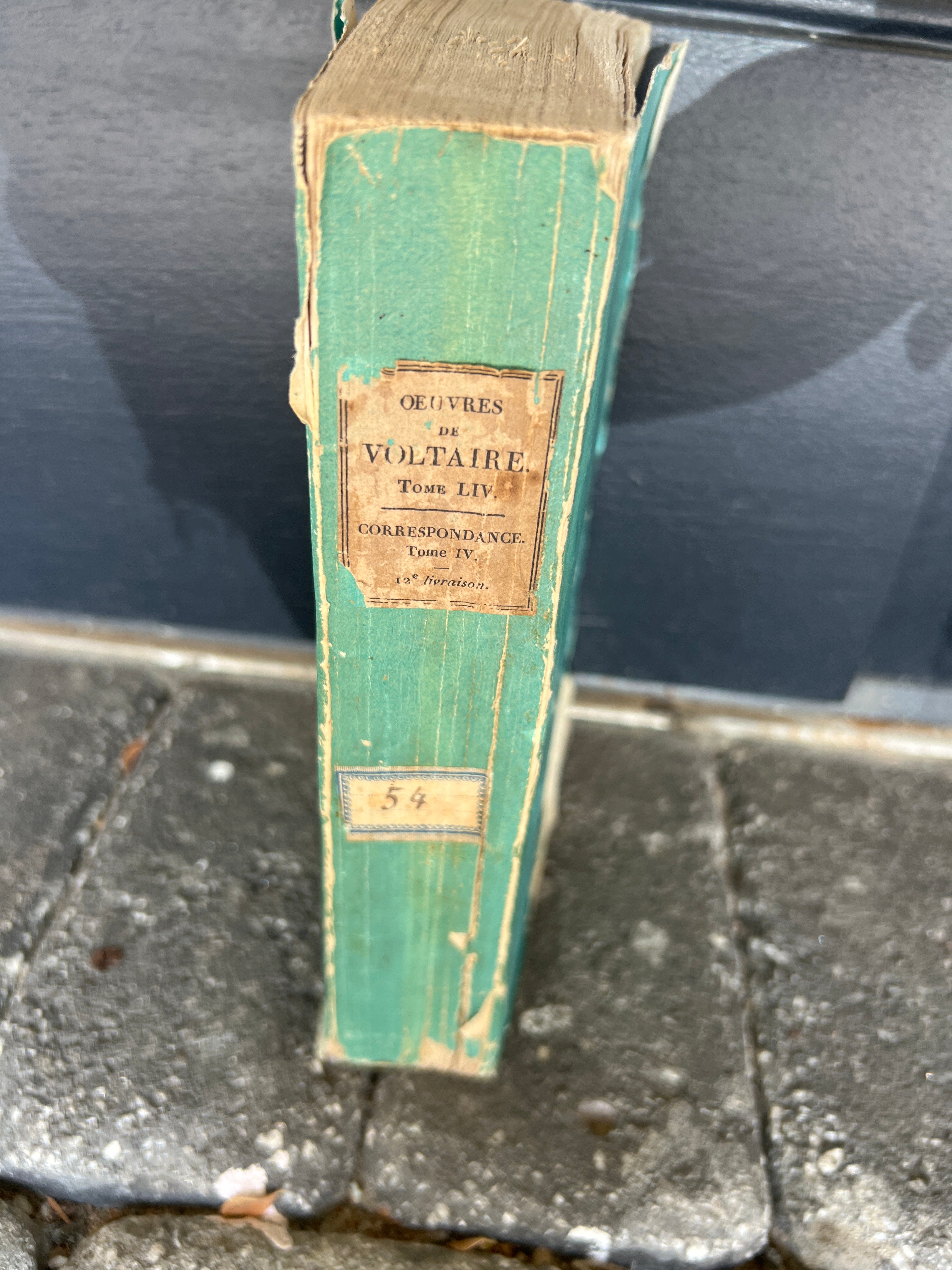 Blue Voltaire Book