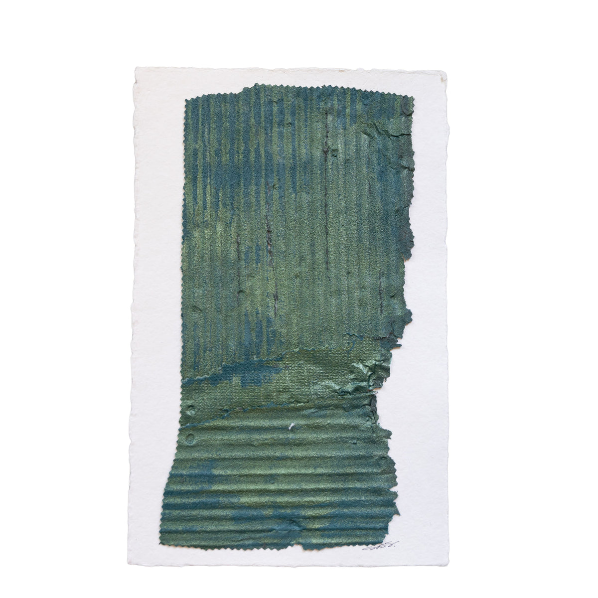 Brook Soss - Everglades 1 (16 x 10)