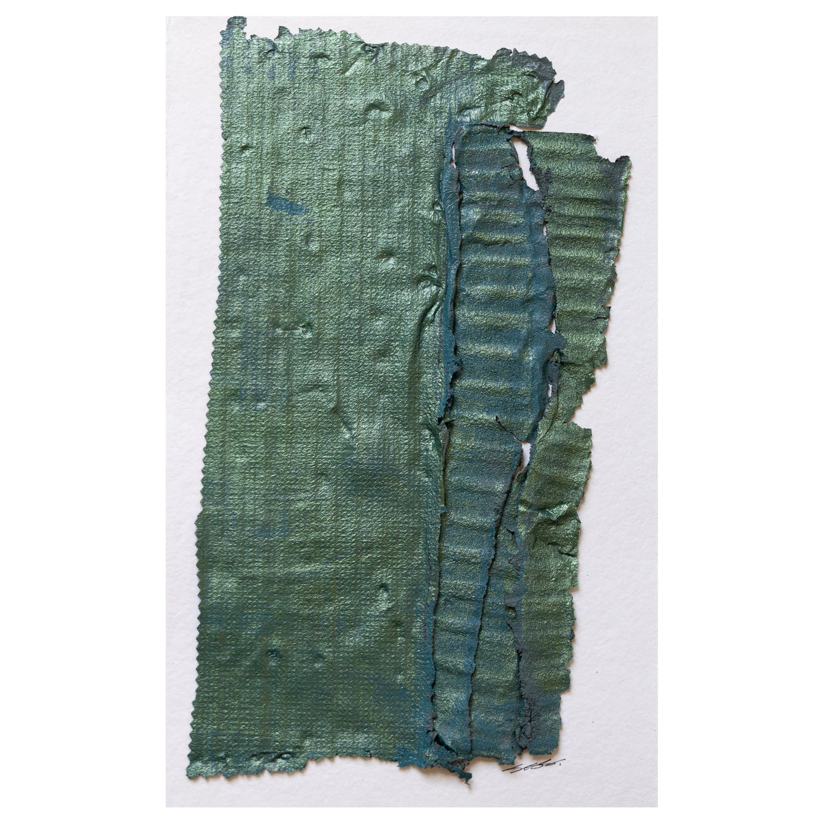 Brook Soss - Everglades 2 (16 x 10)