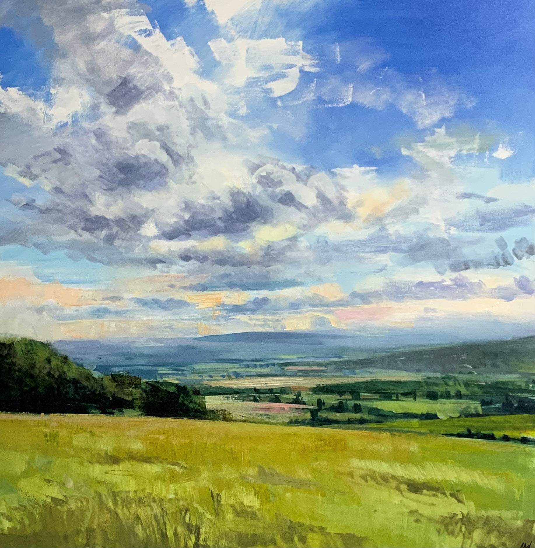 Craig Mooney - Far Afield (46 x 46)