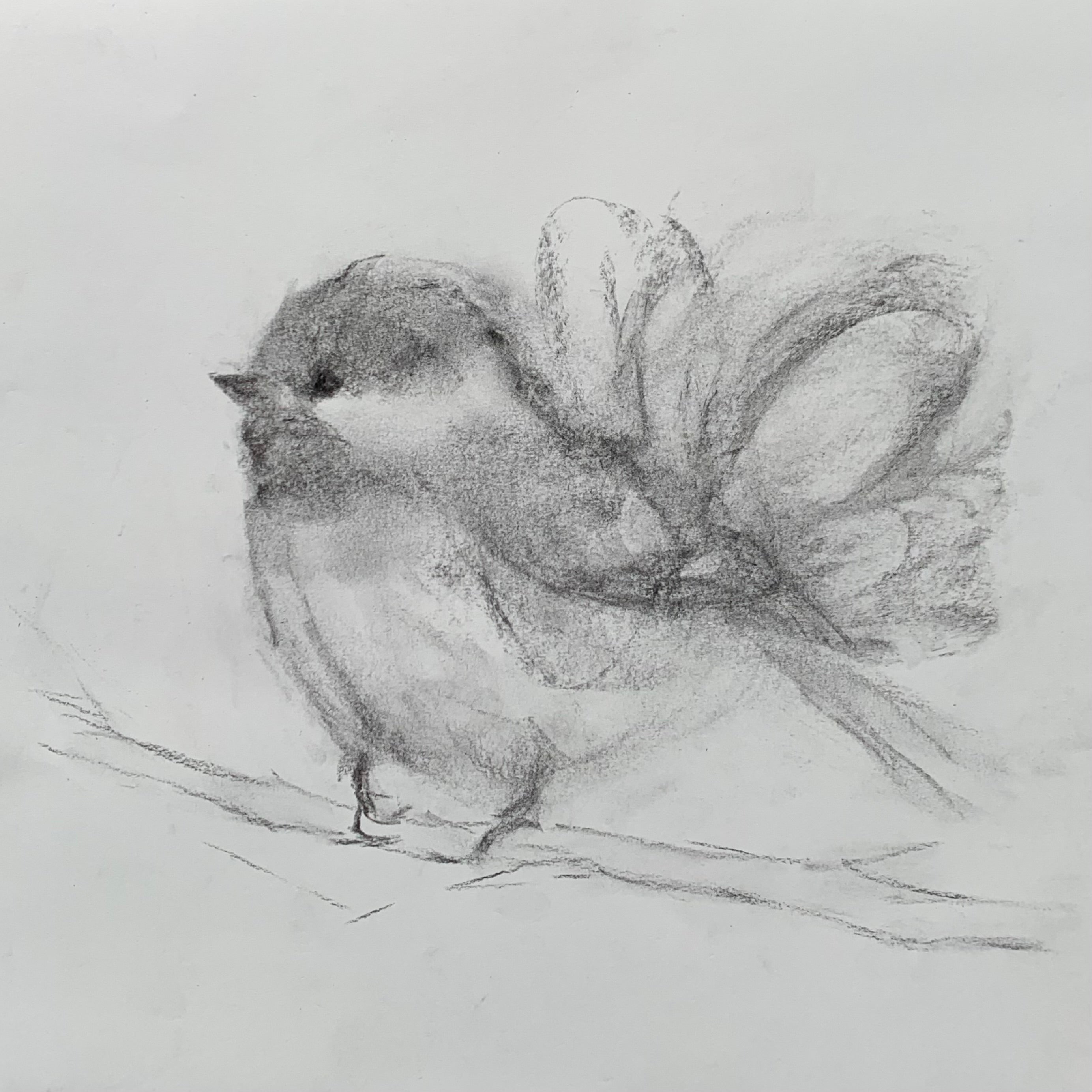 Judith Williams - Flutter By (12 x 12)