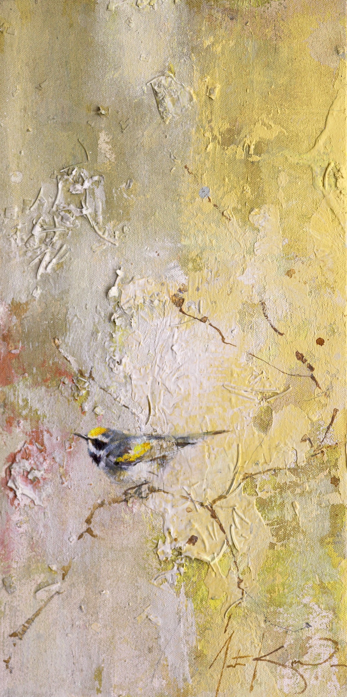 Justin Kellner - Golden-winged Warbler (16 x 8)