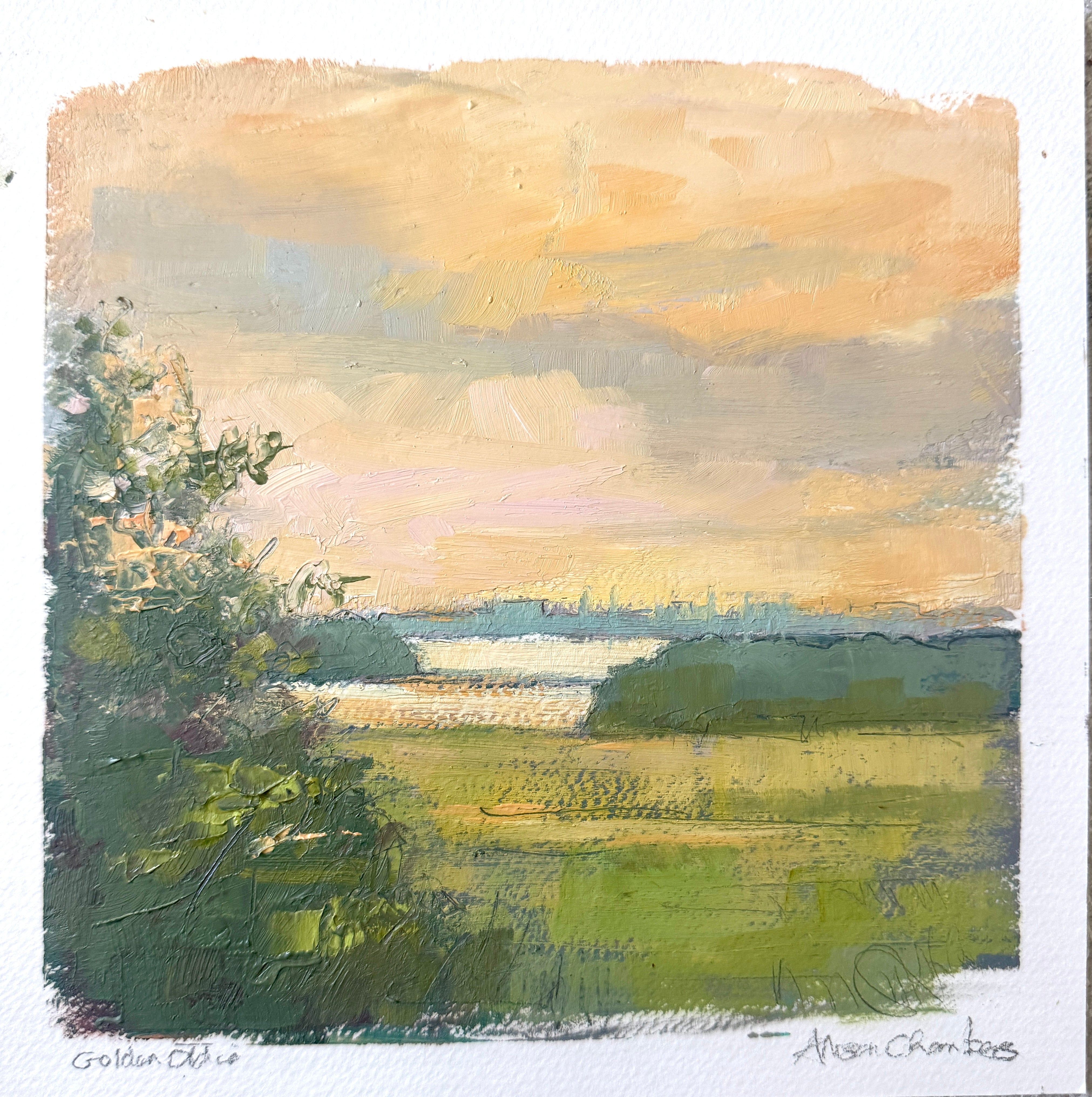 Allison Chambers - Golden Oldie (8 x 8)