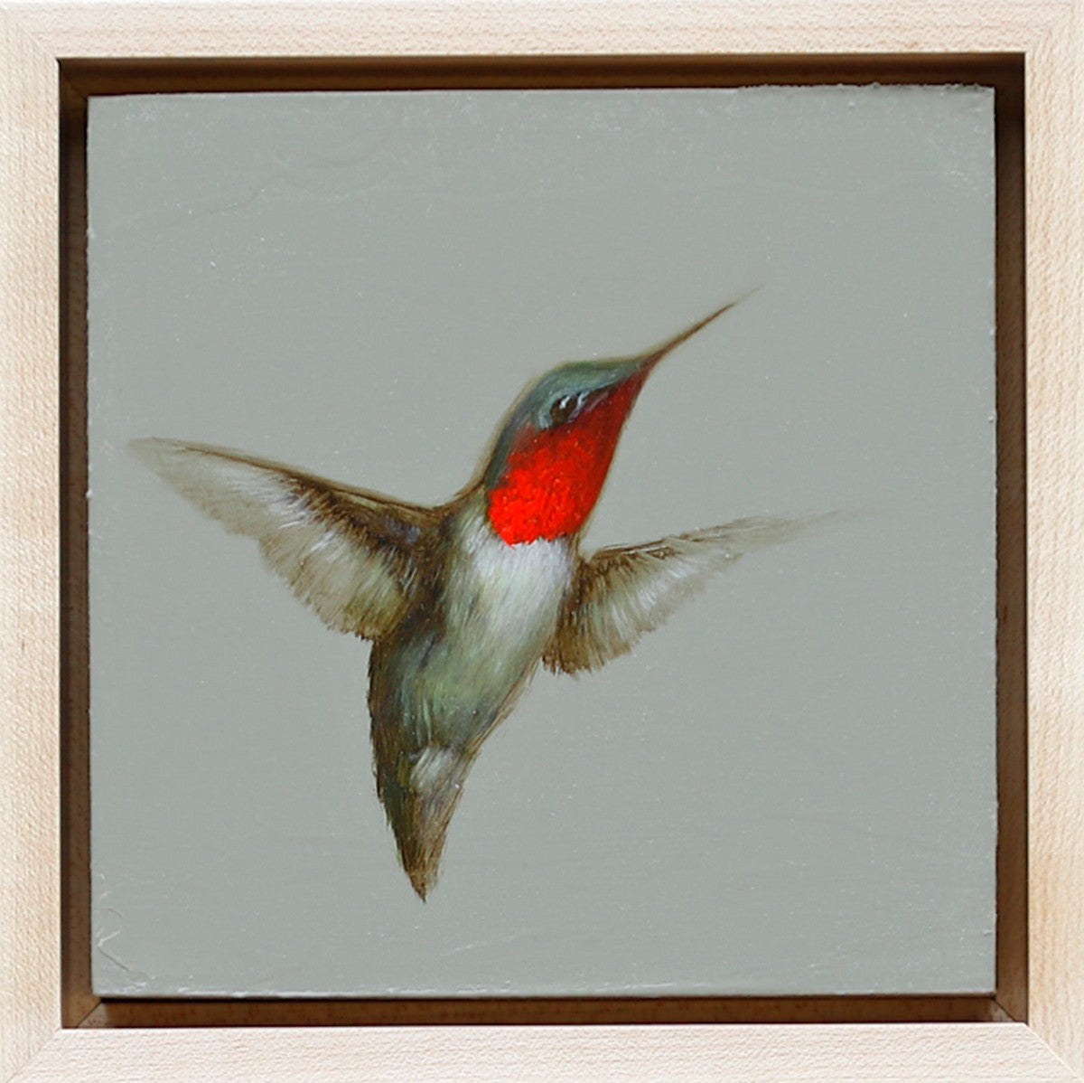 Jessica Pisano - Hummingbird in Flight II (7 x 7)