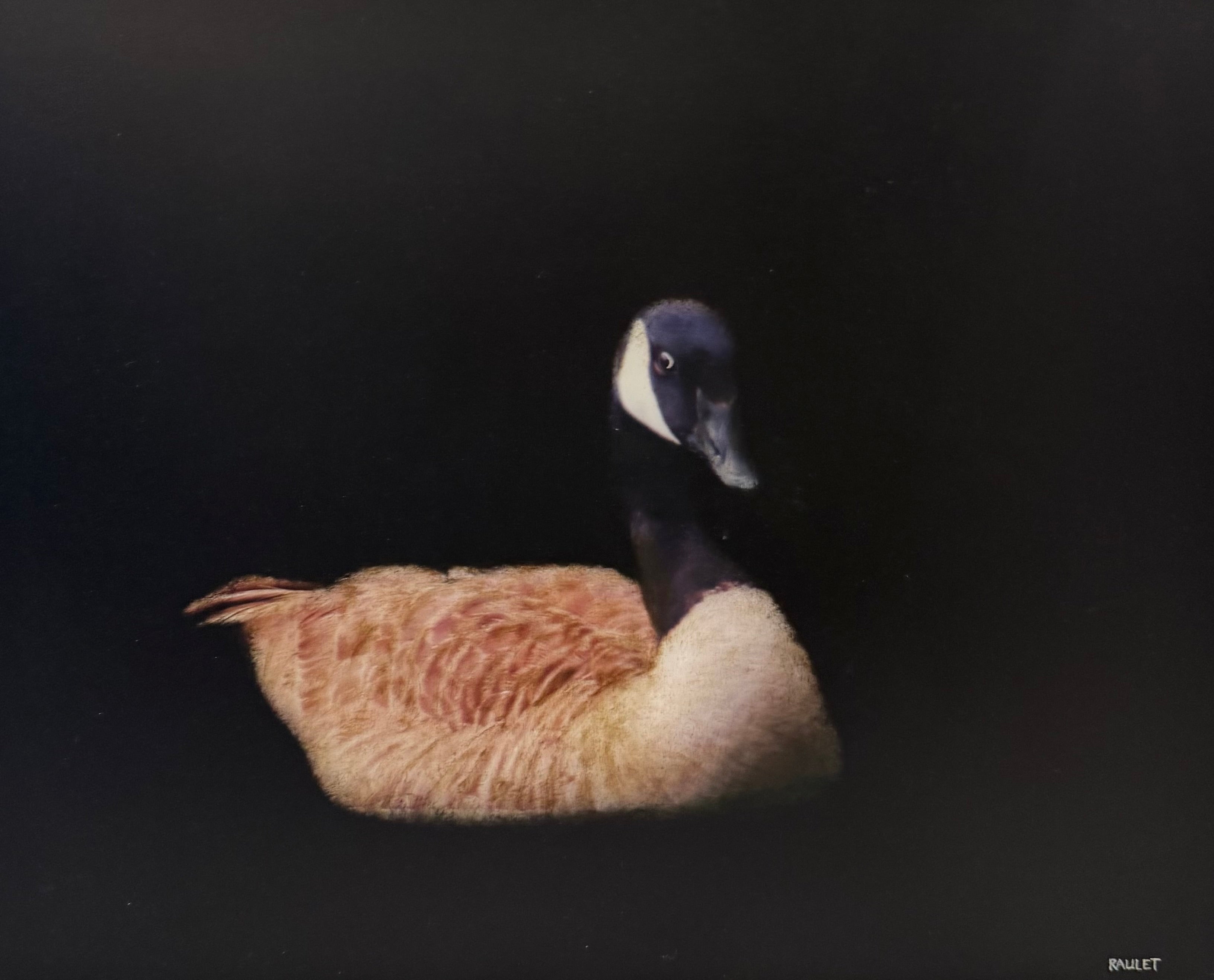 Dawne Raulet - Bottoms Up, Buttercup (16 x 20)