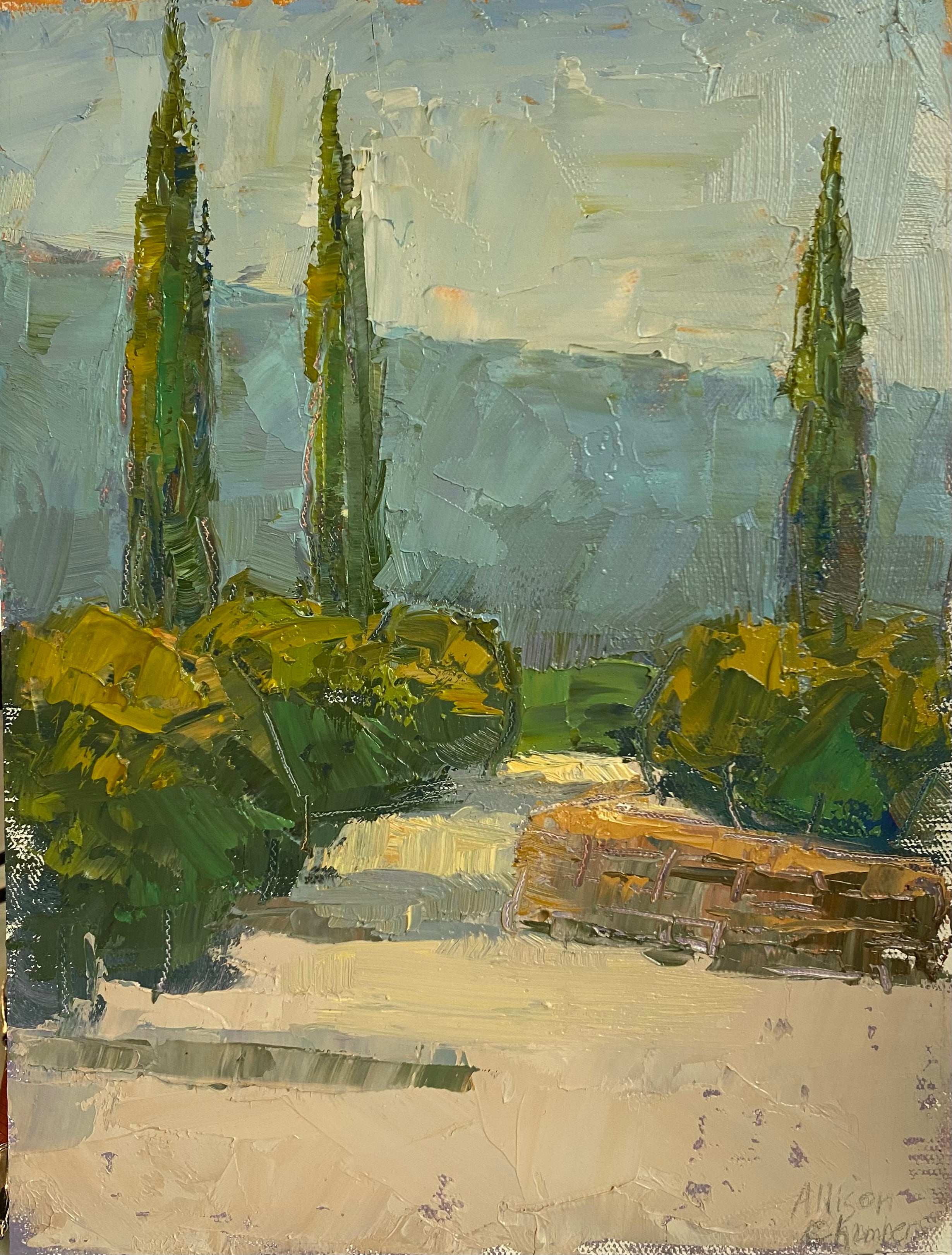 Allison Chambers - Light and Shadow (12 x 9) - RESERVED