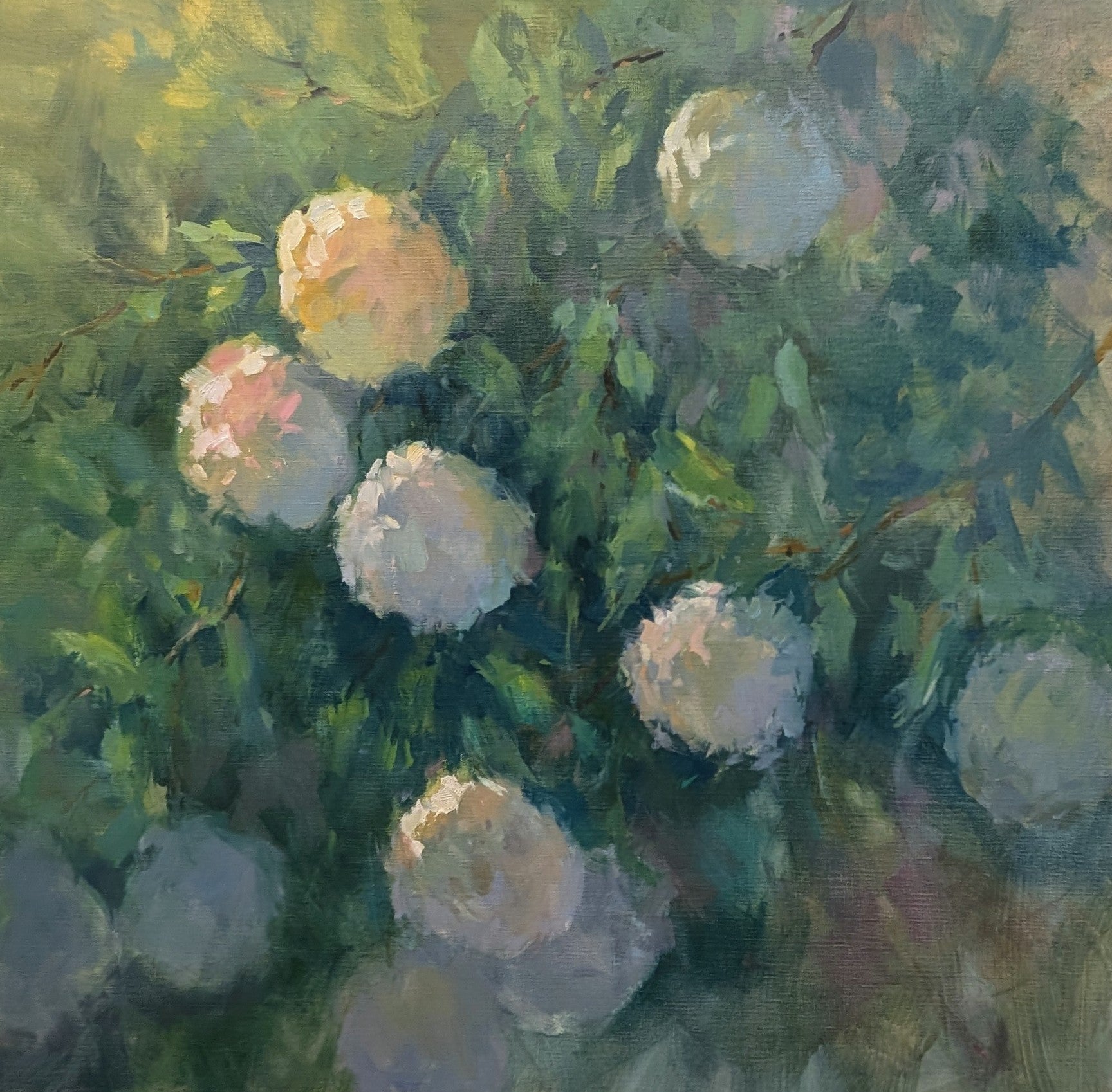 Millie Gosch - Snowballs (36 x 36)