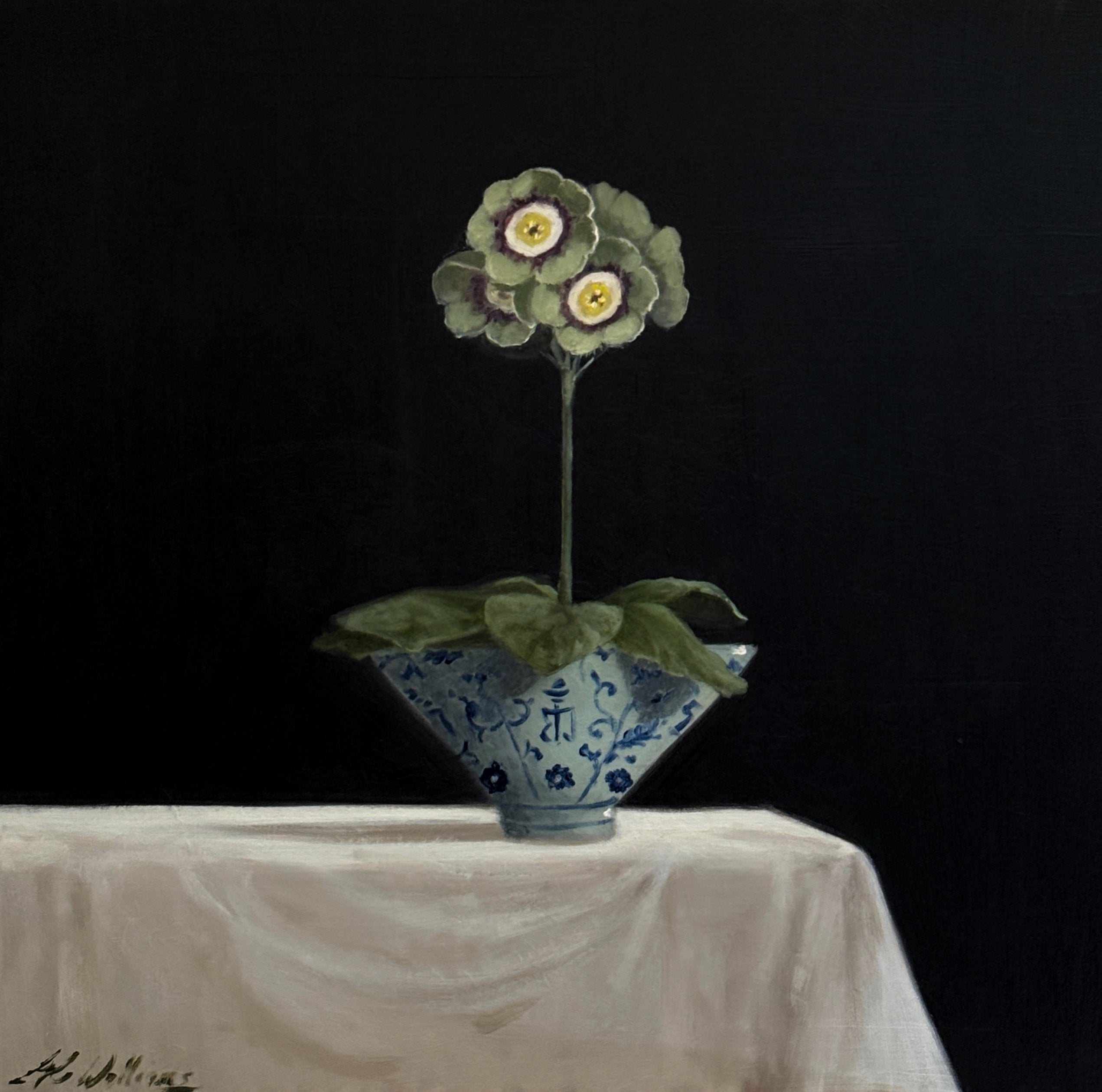 Ginny Williams - Miss Marasot (16 x 16)