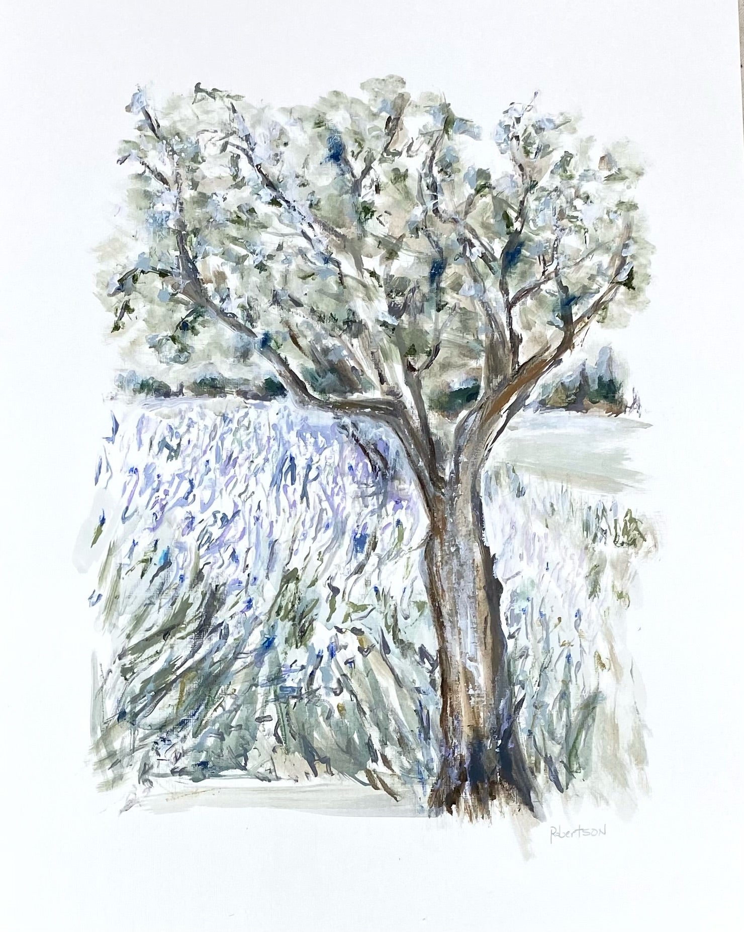 lavender and olive trees Sarah Robertson