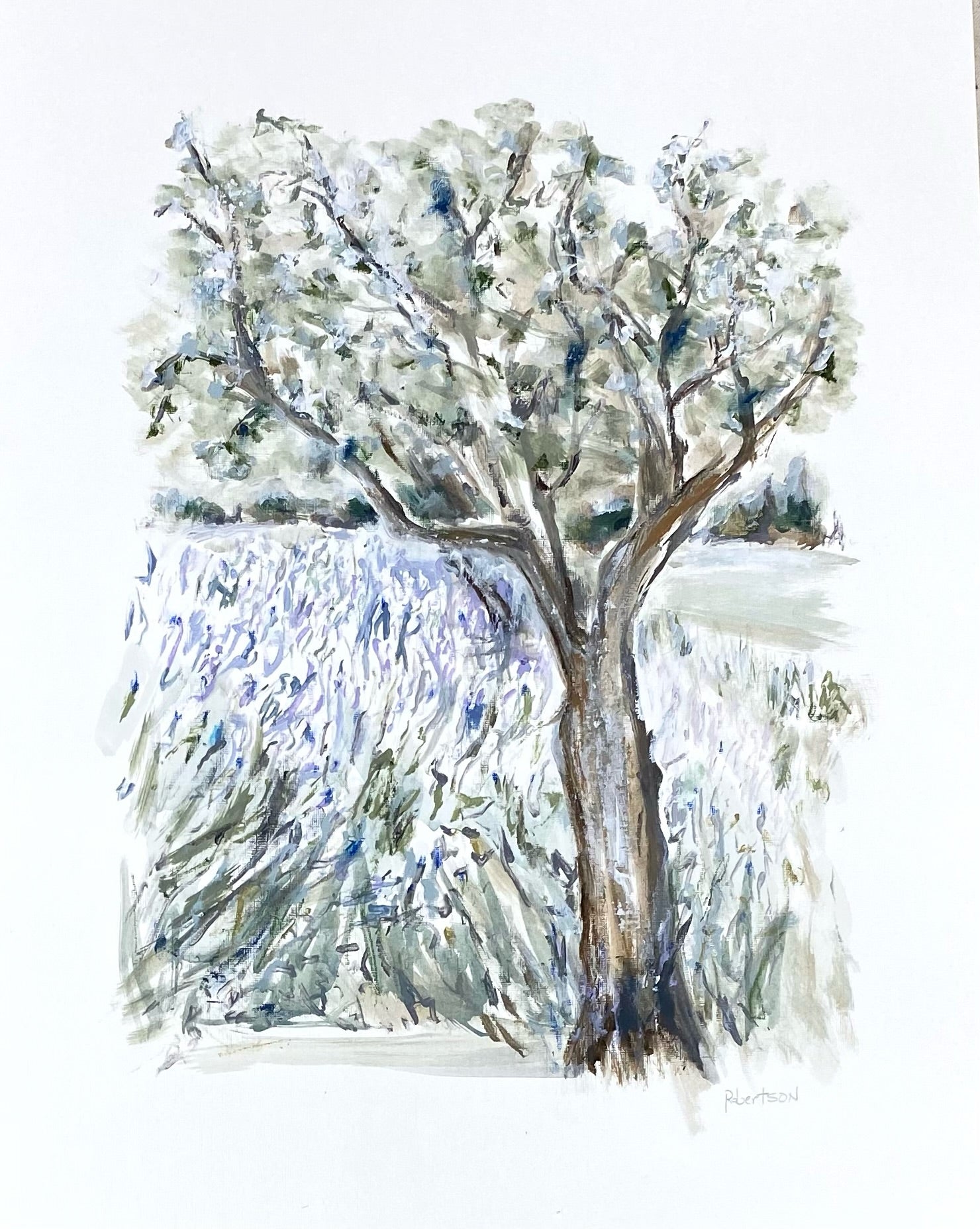 Sarah Robertson - Olive Trees in the Lavender (24 x 18)
