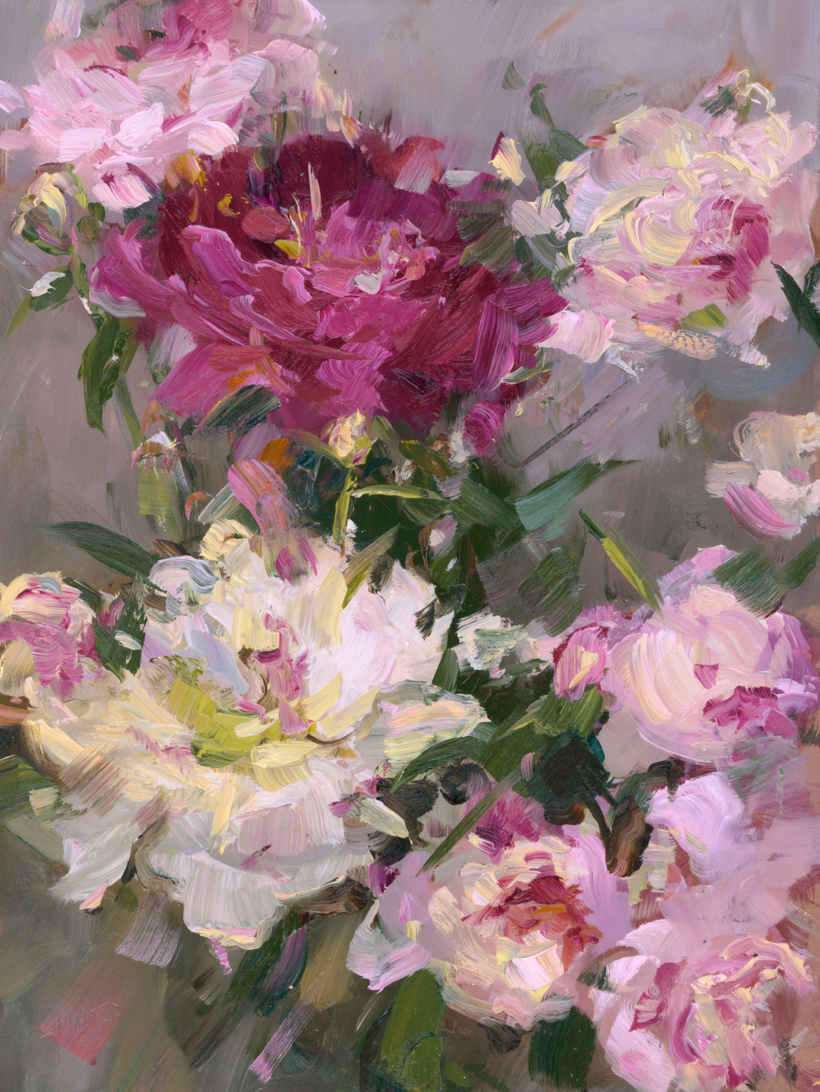 Stephanie Amato - Peonies Glory (12 x 9)