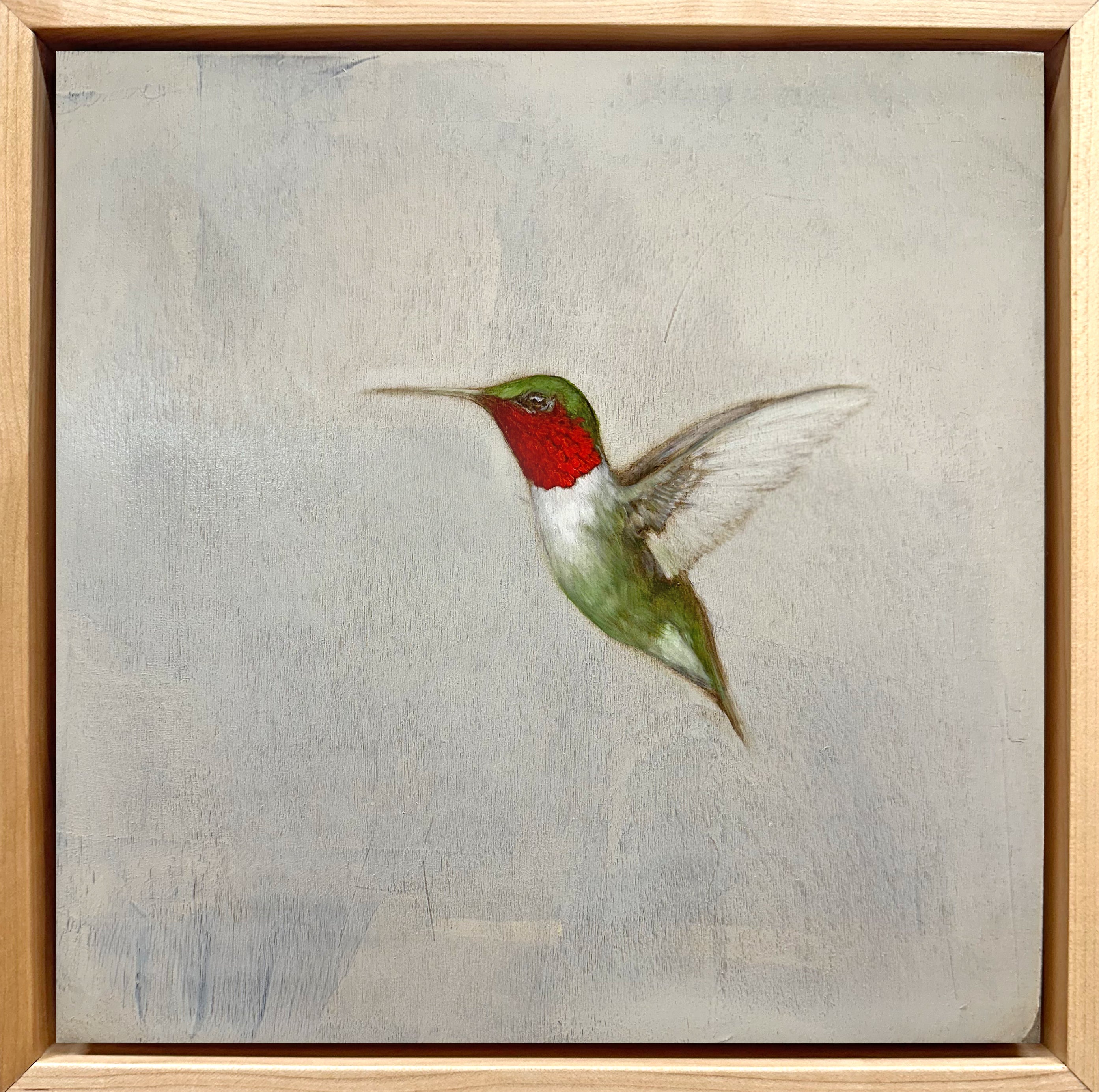 Jessica Pisano - Ruby-Throated Hummingbird I (12 x 12)