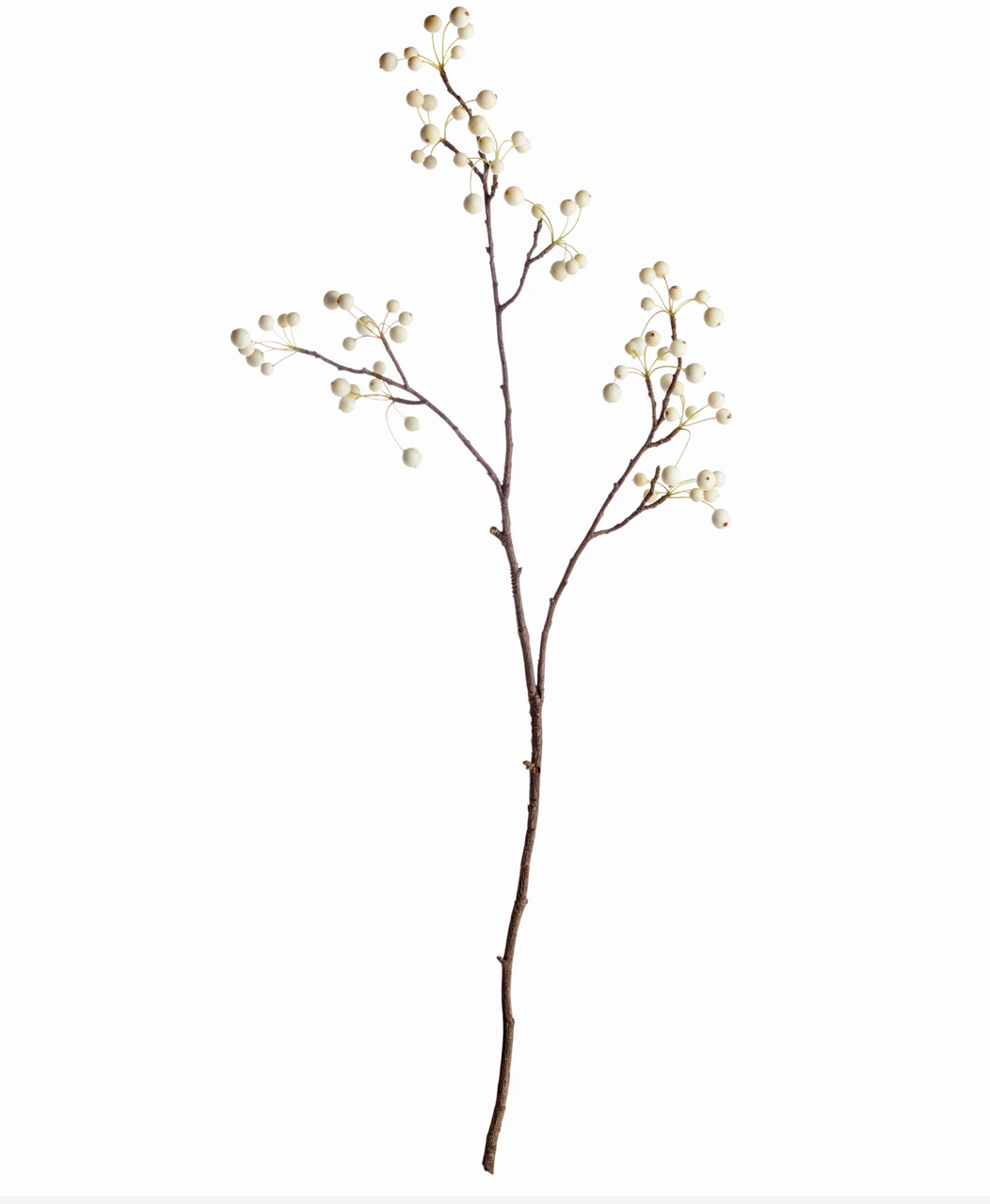 White Berry Branch 36"H
