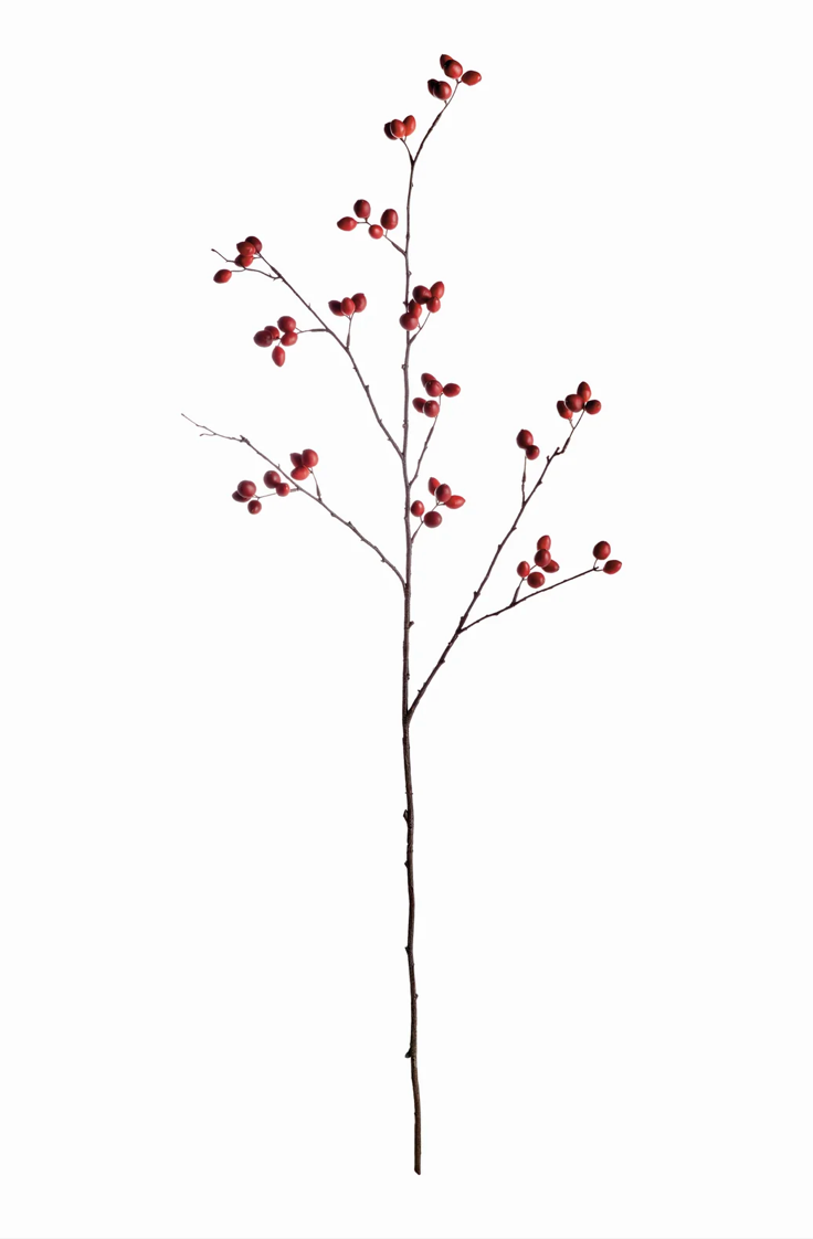 Rosehip Branch 43"H