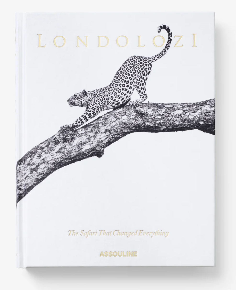 Londolozi: The Safari That Changed Everything