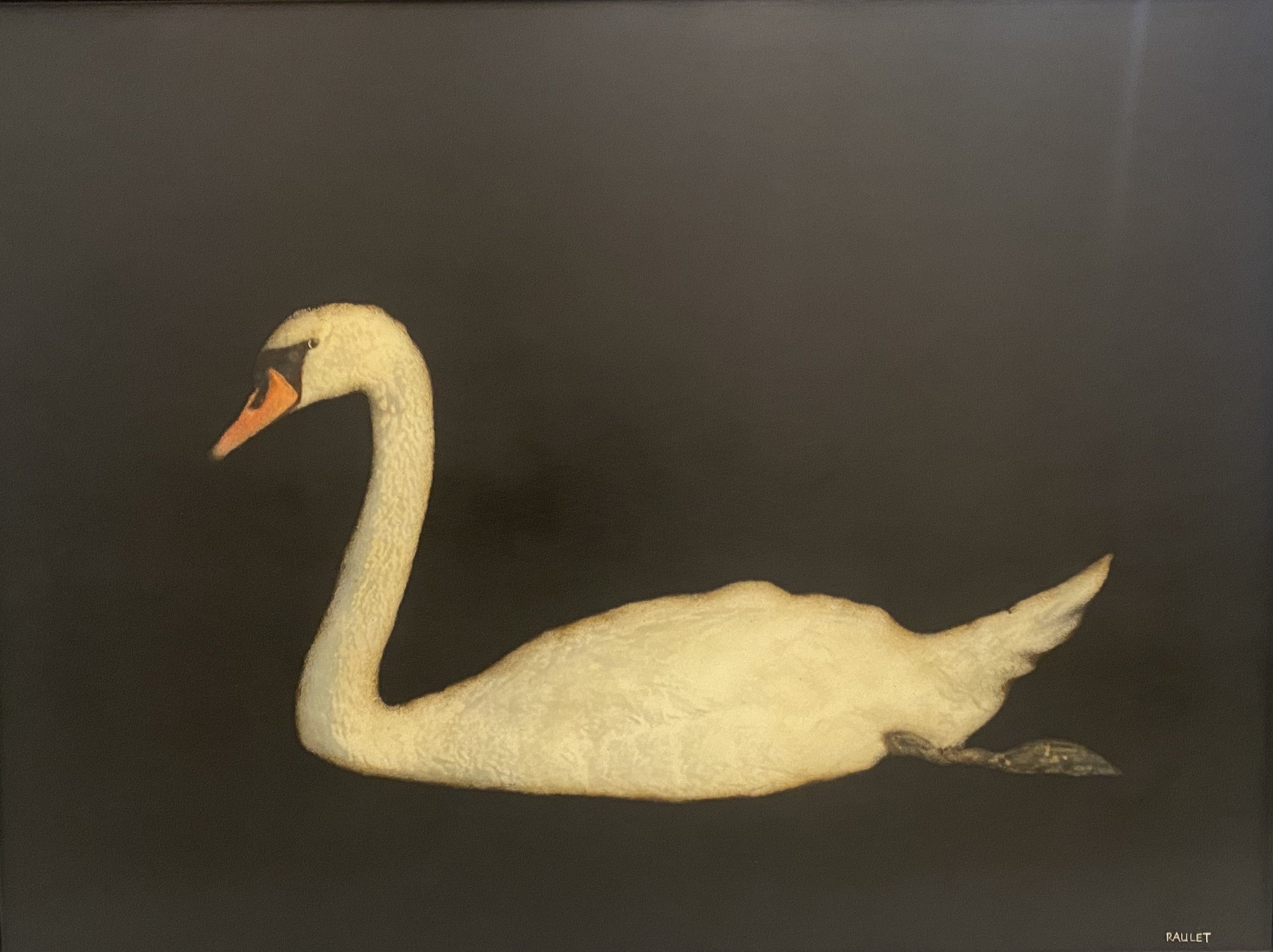 Dawne Raulet - Not My First Ballet (30 x 40)