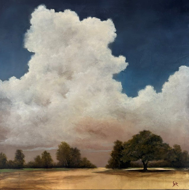 Jim Seitz - The Sky Above (48 x 48)