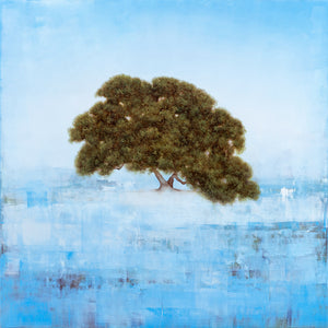 Jessica Pisano - Timeless Oak (48 x 48)