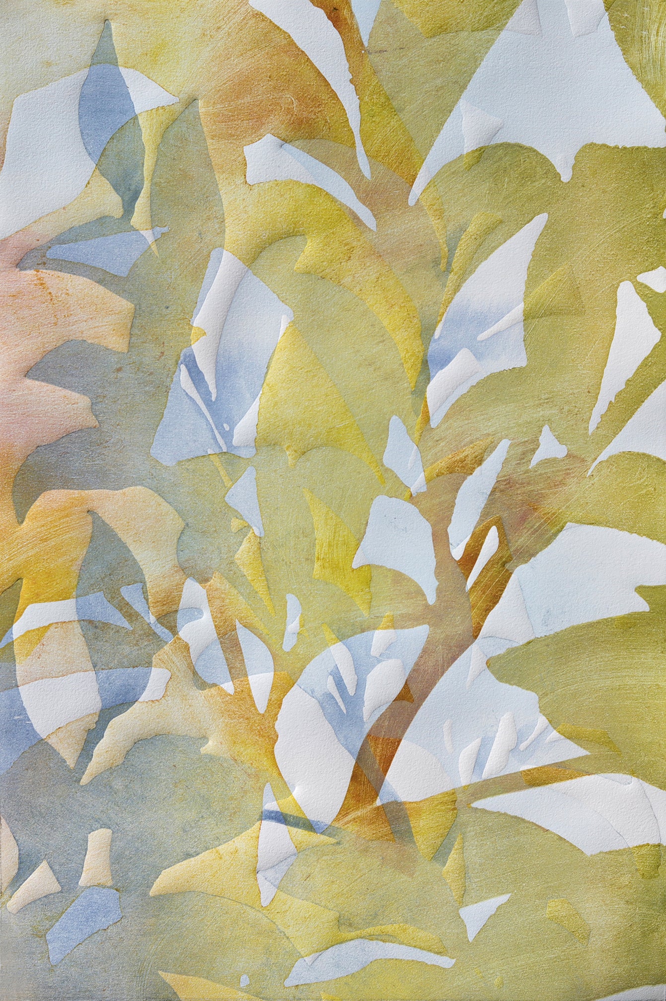 Katherine Warinner - Shadow Echo 1 (22.75 x 15)