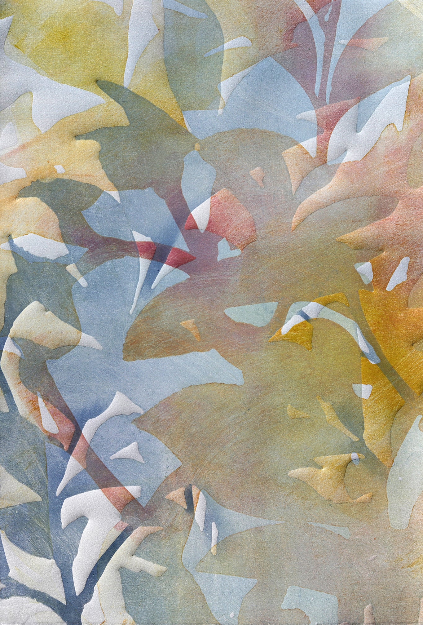 Katherine Warinner - Shadow Echo 2 (22.75 x 15)