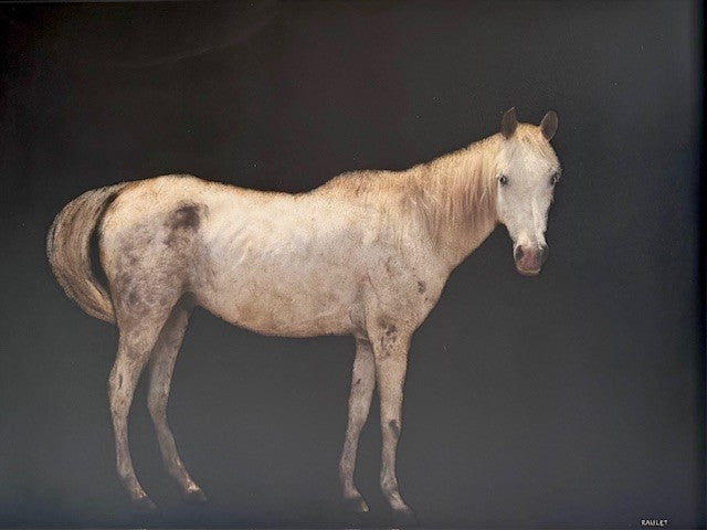 Dawne Raulet - Hay There (30 x 40)