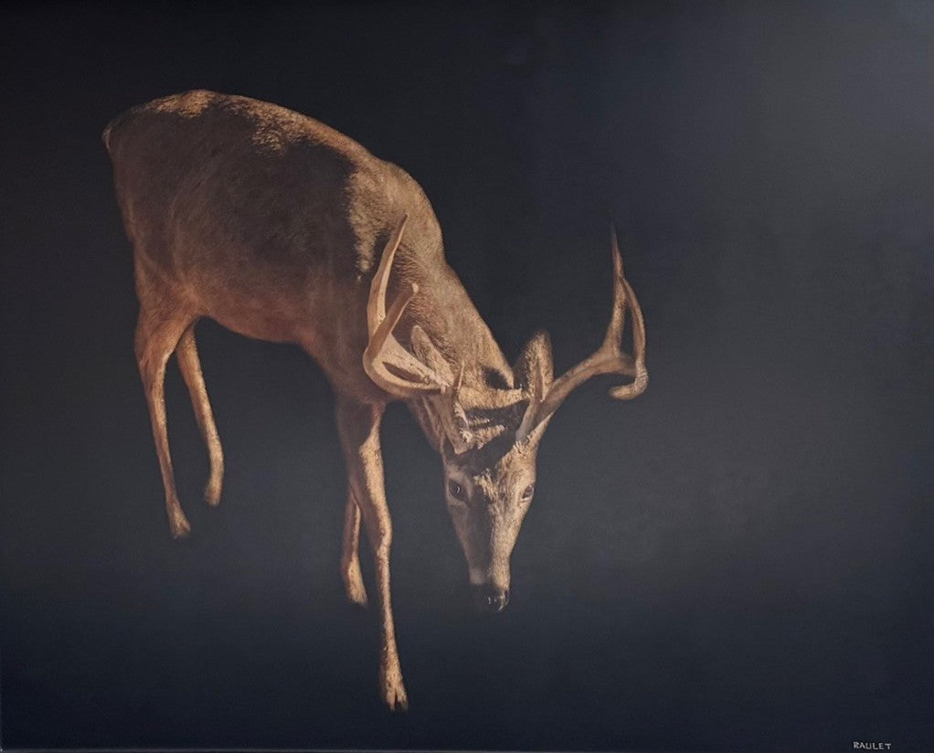 Dawne Raulet - Antler Attitude (40 x 50)