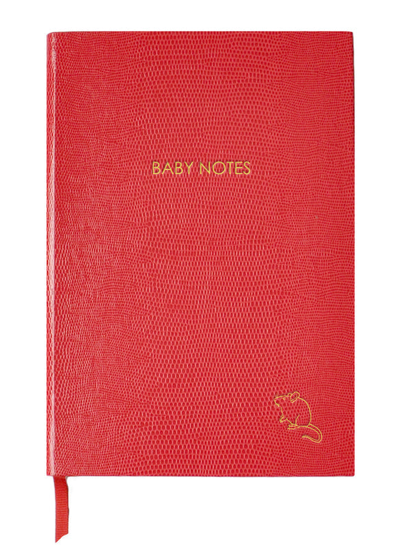 Baby Notes Notebook