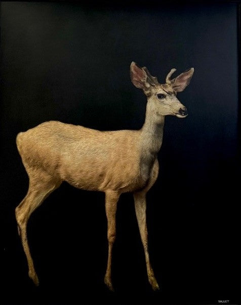 Dawne Raulet - Deerly Beloved (50 x 40)