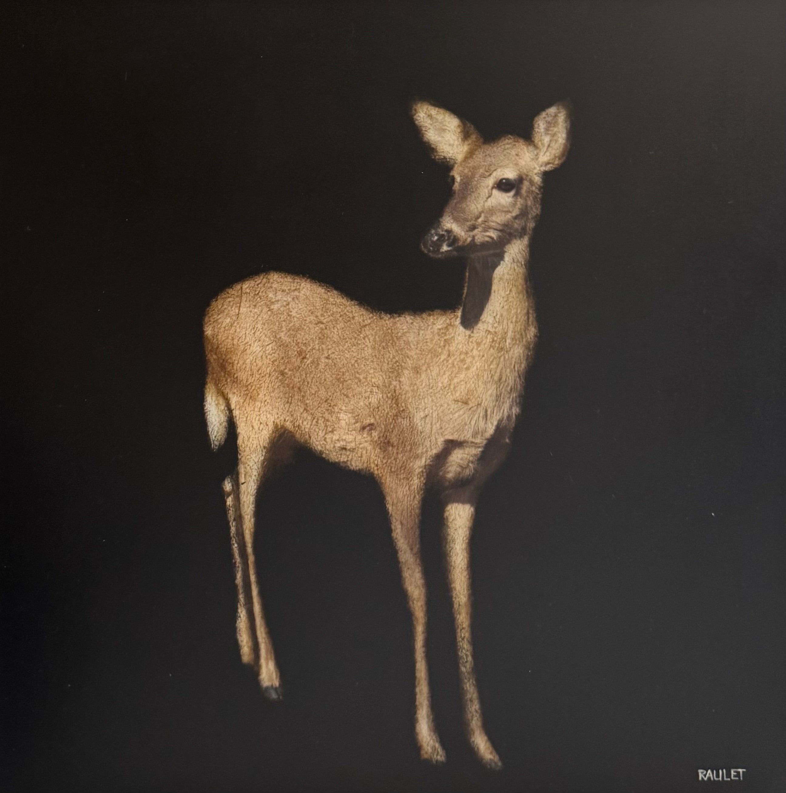 Dawne Raulet - Doe and Tell (14 x 14)
