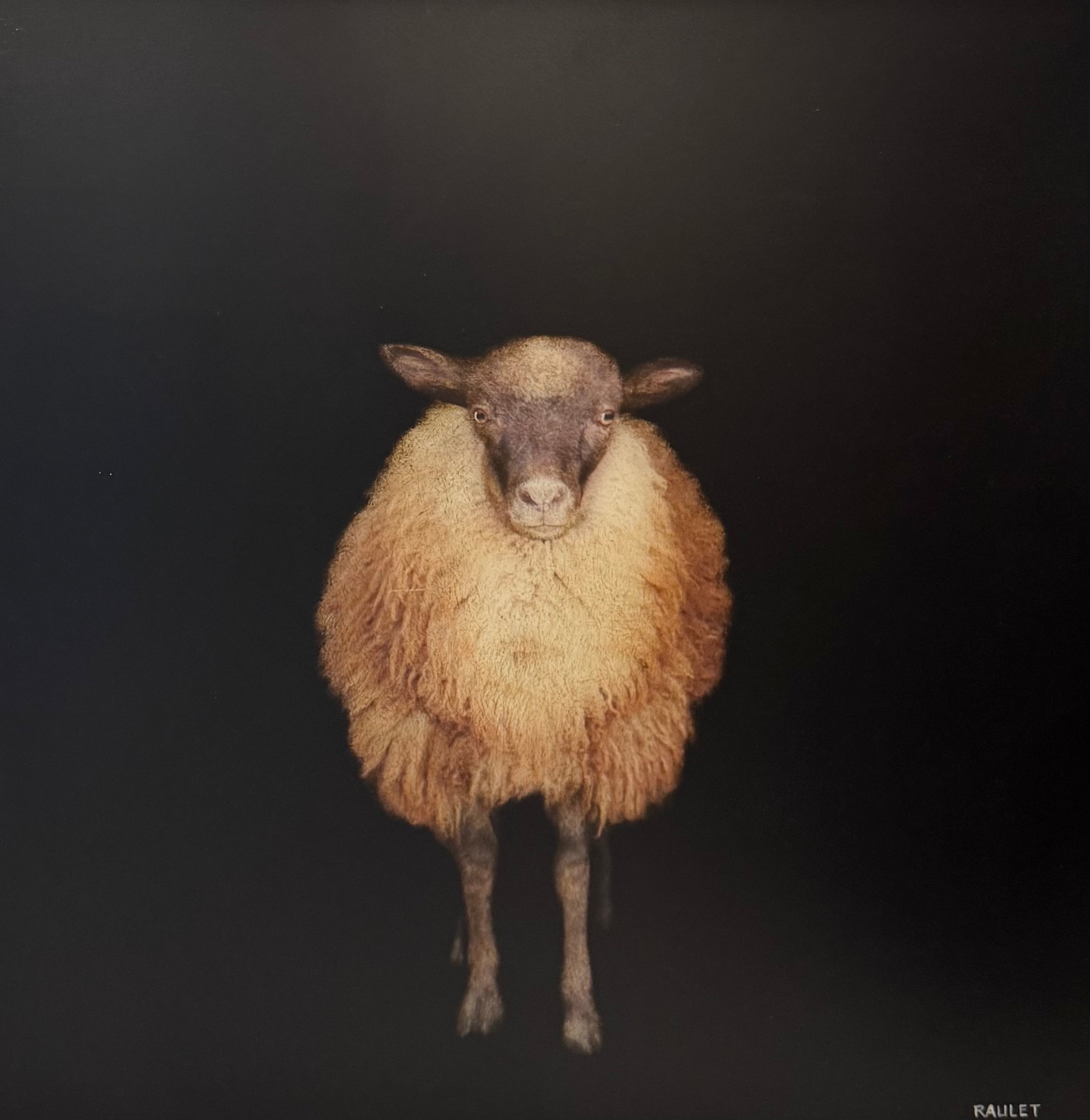 Dawne Raulet - Ewe So Fancy (18 x 18)