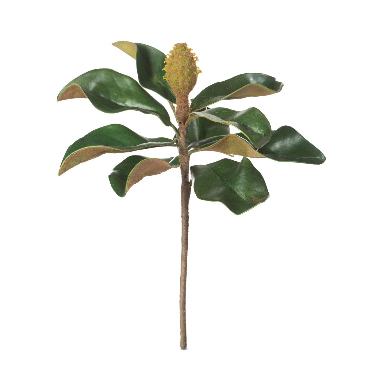 Faux Teddy Bear Magnolia Leaf Pick