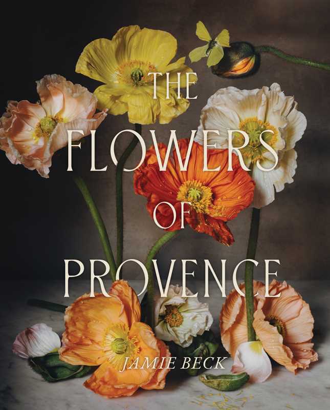 Flowers of Provence