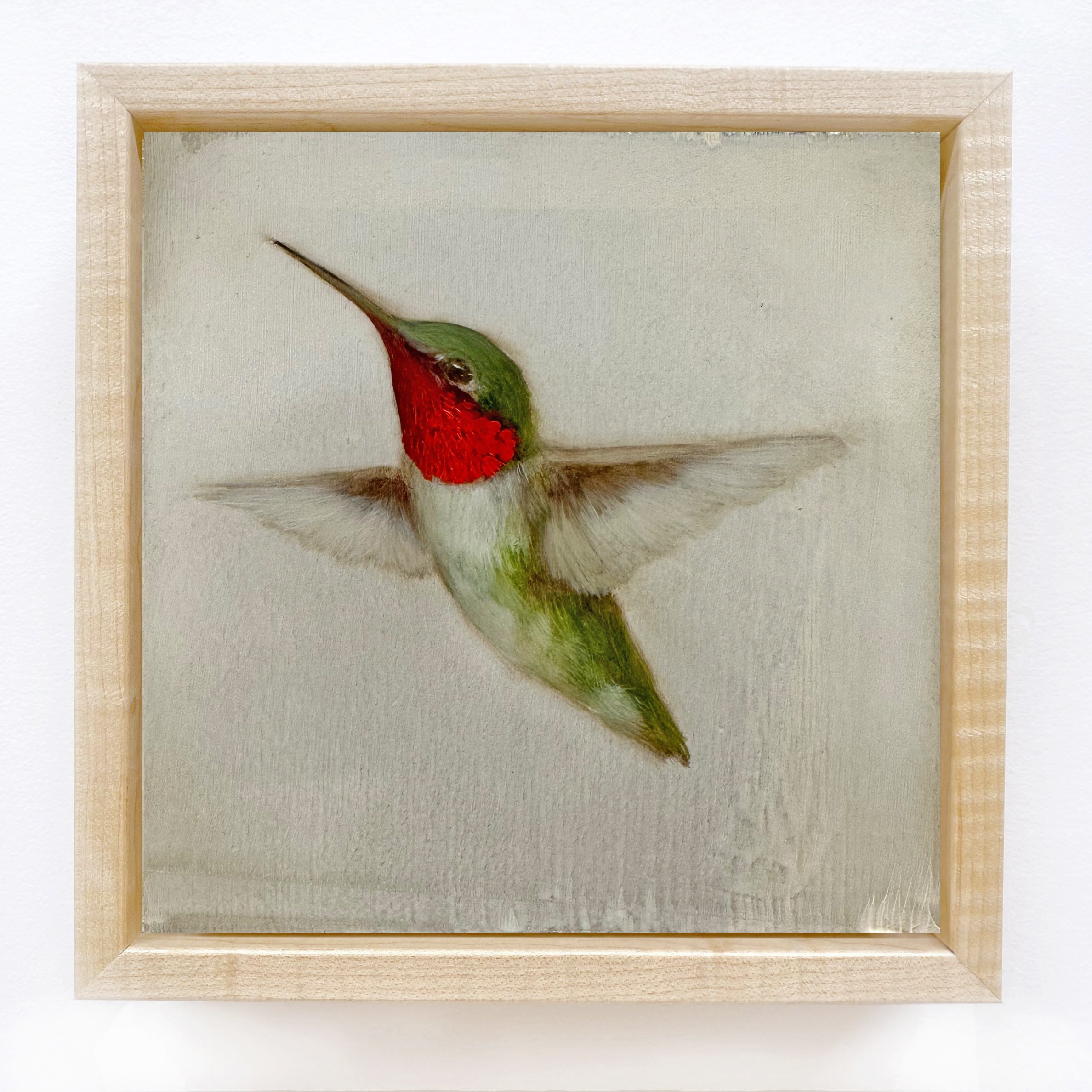 Jessica Pisano - Ruby-Throated Hummingbird #3 (6 x 6)